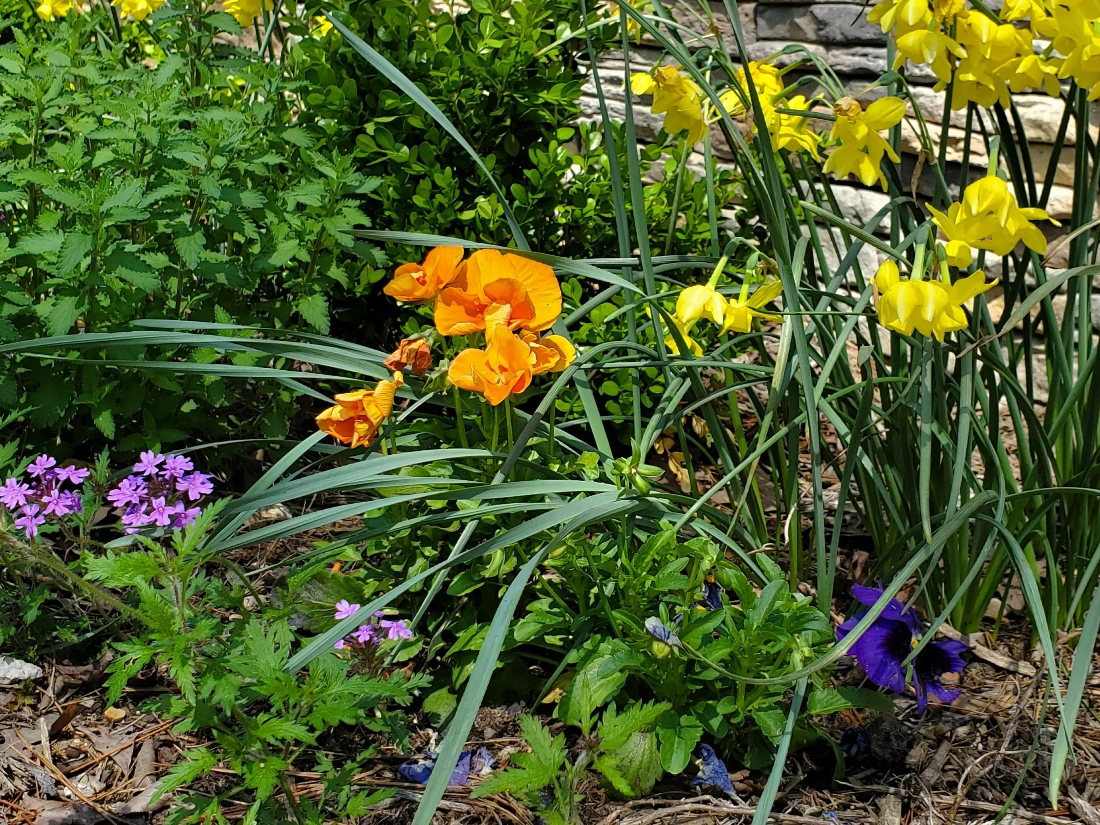 Flowers_Cabin.jpg