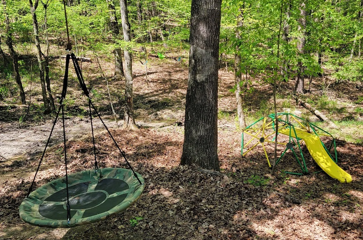 Saucer_Jungle_J_cropped.jpg