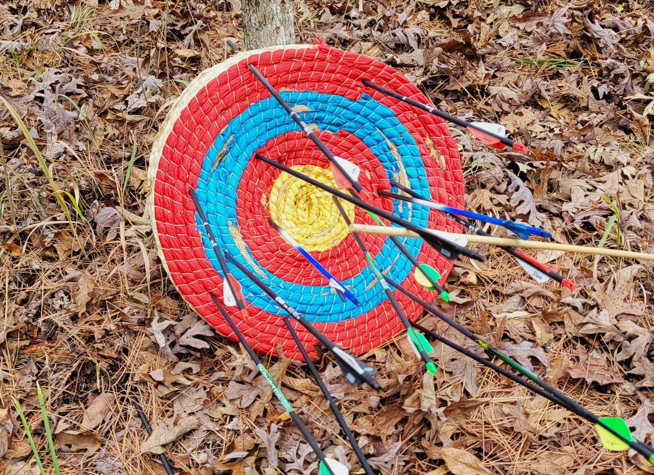 Target_Arrows_ed.jpg
