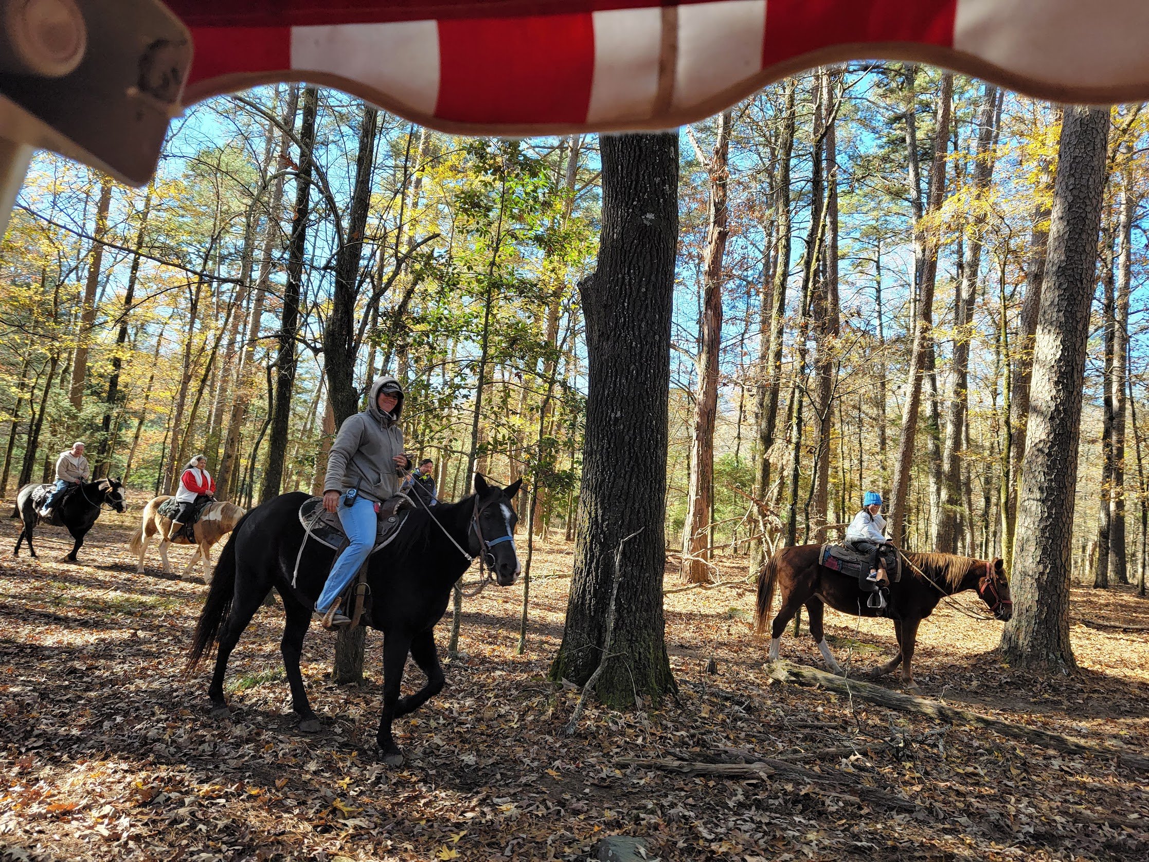 Trail_ride_Train.jpg