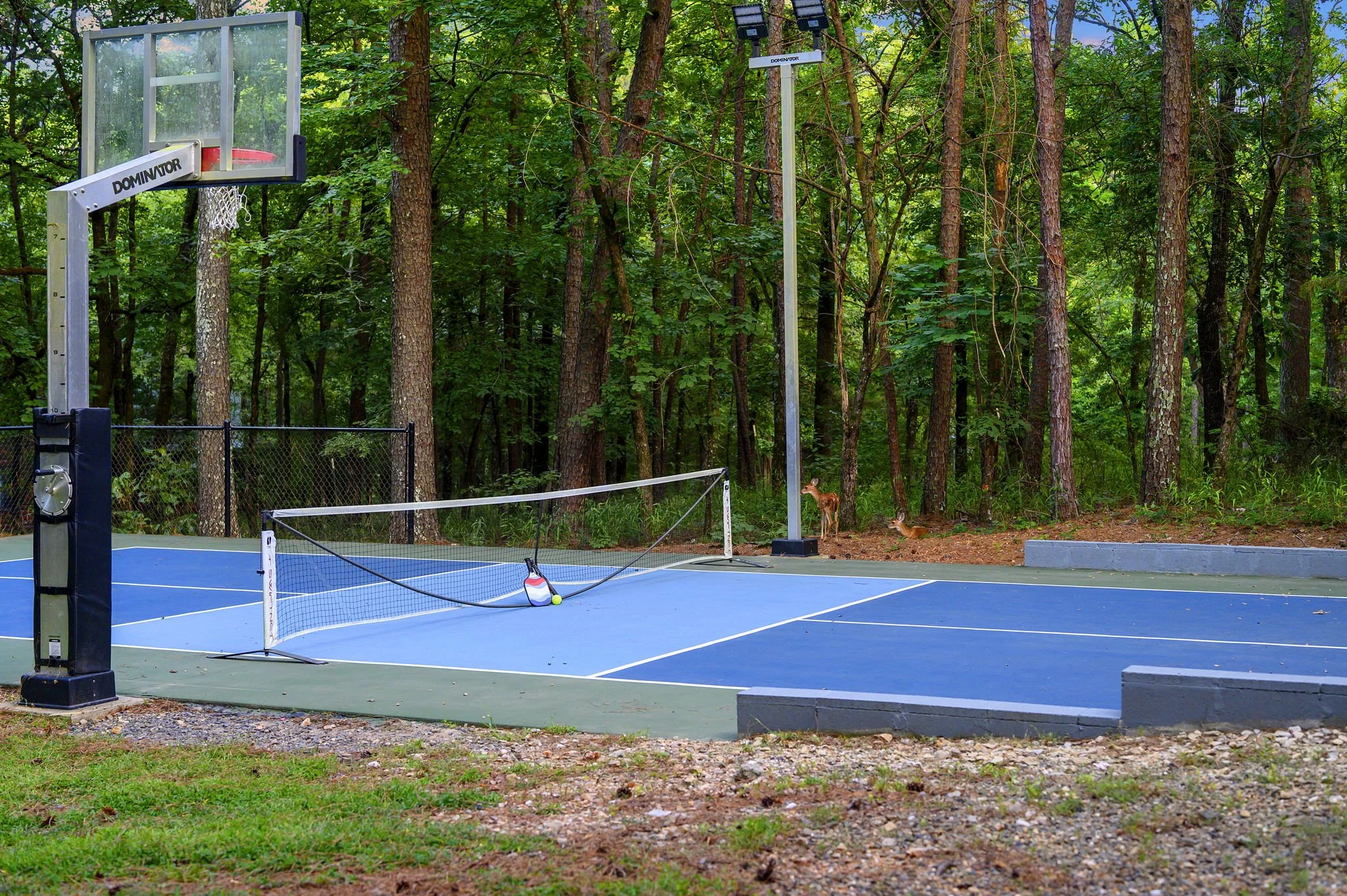 Pickleball court with deer in the background
