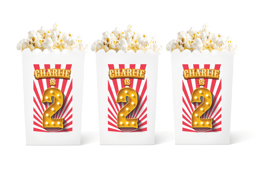 Circus Carnival Popcorn Birthday Party Favors — White Confetti Box