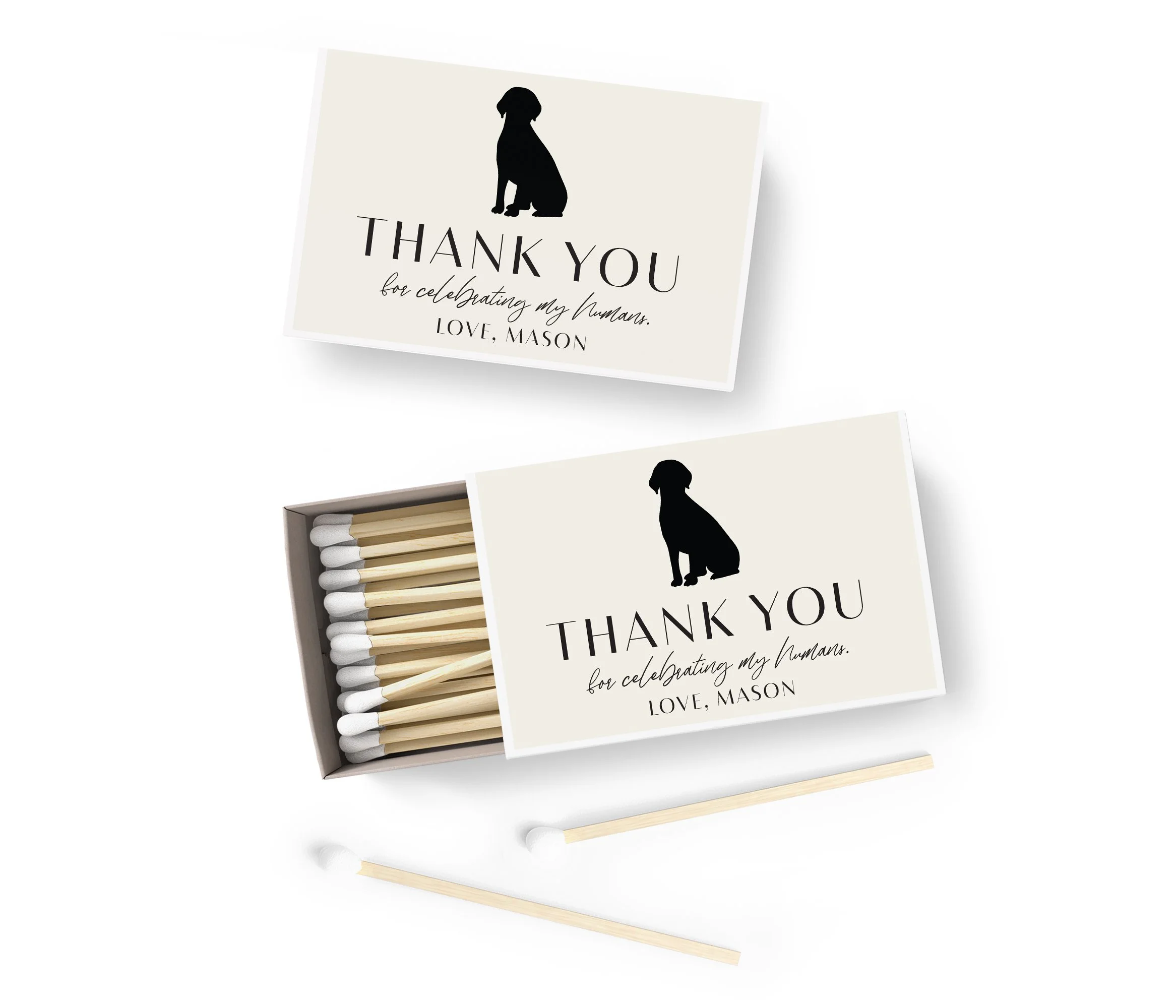 MATCHES-Pet-Lab.jpg