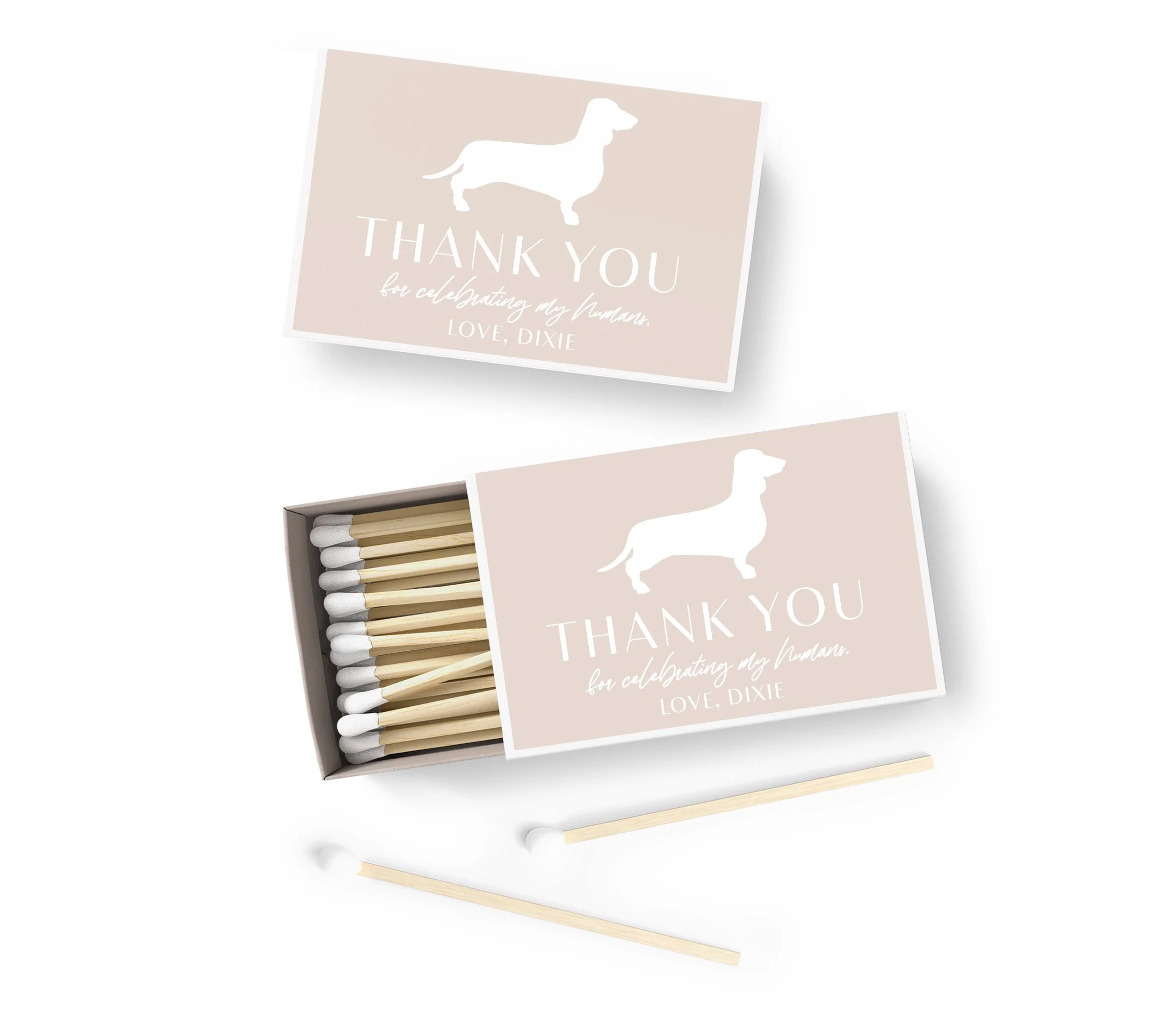 MATCHES-Pet-Daushand.jpg