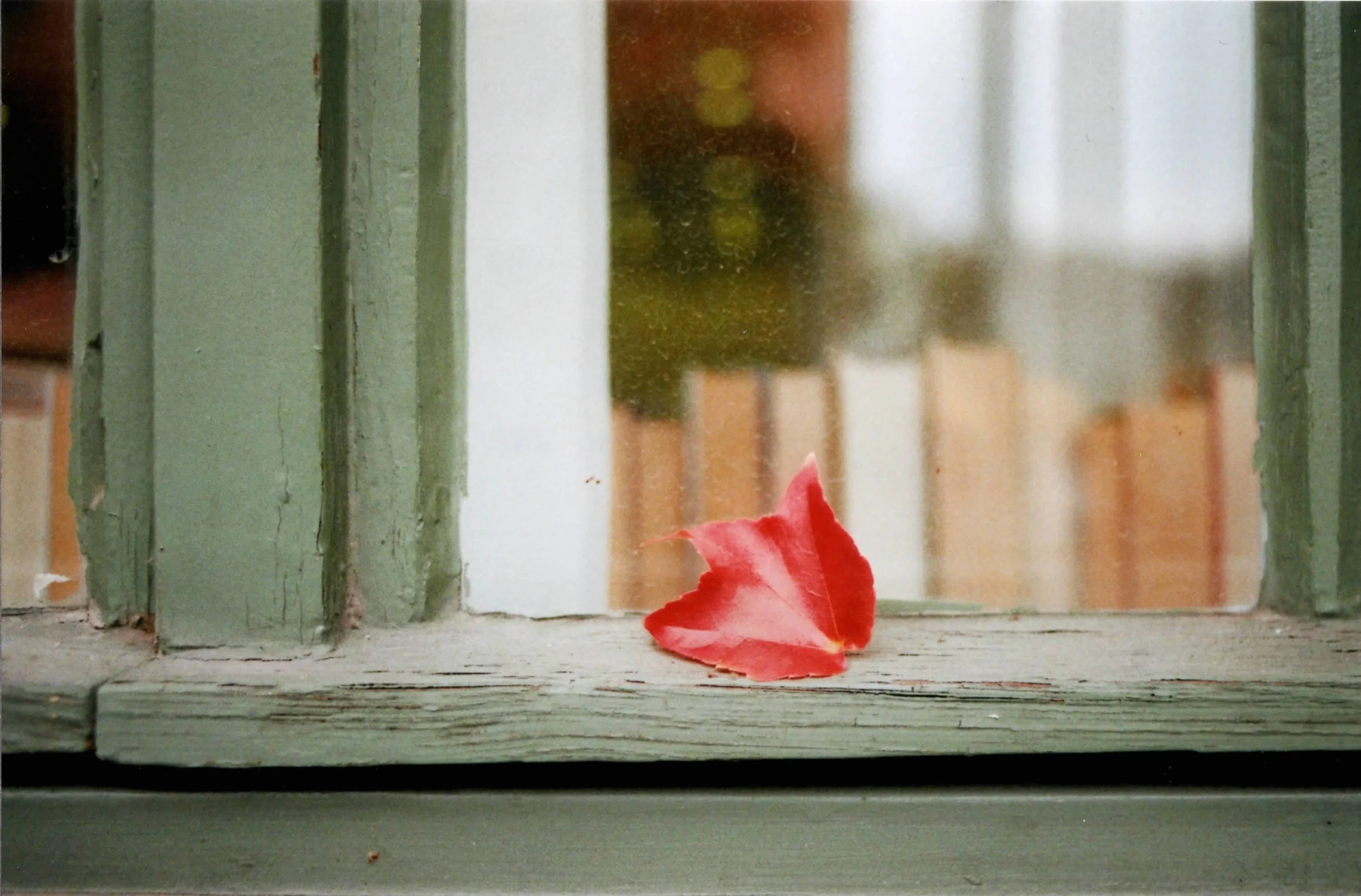 Color Plus 200