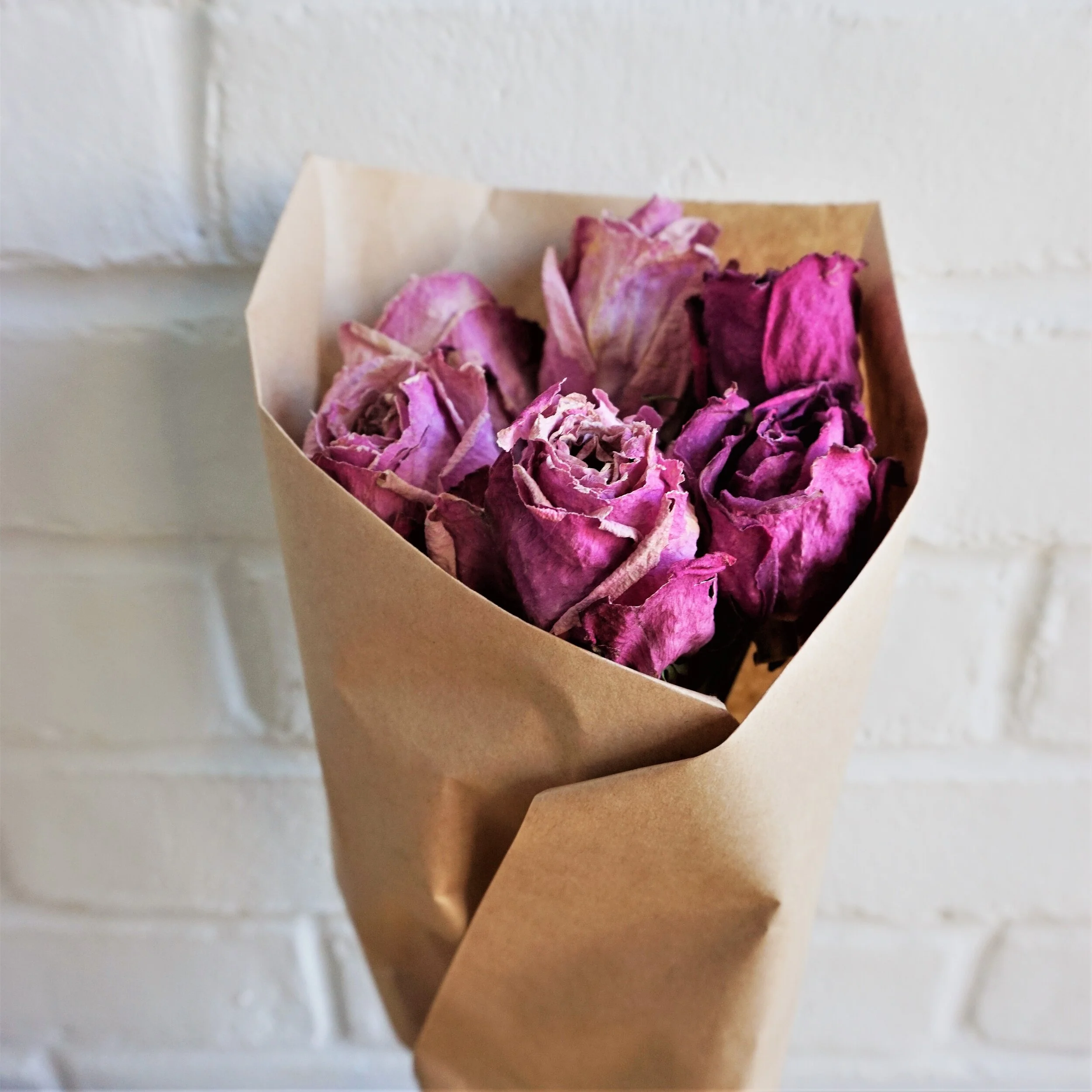 Rose Botanical Bundle — Kate's Garden
