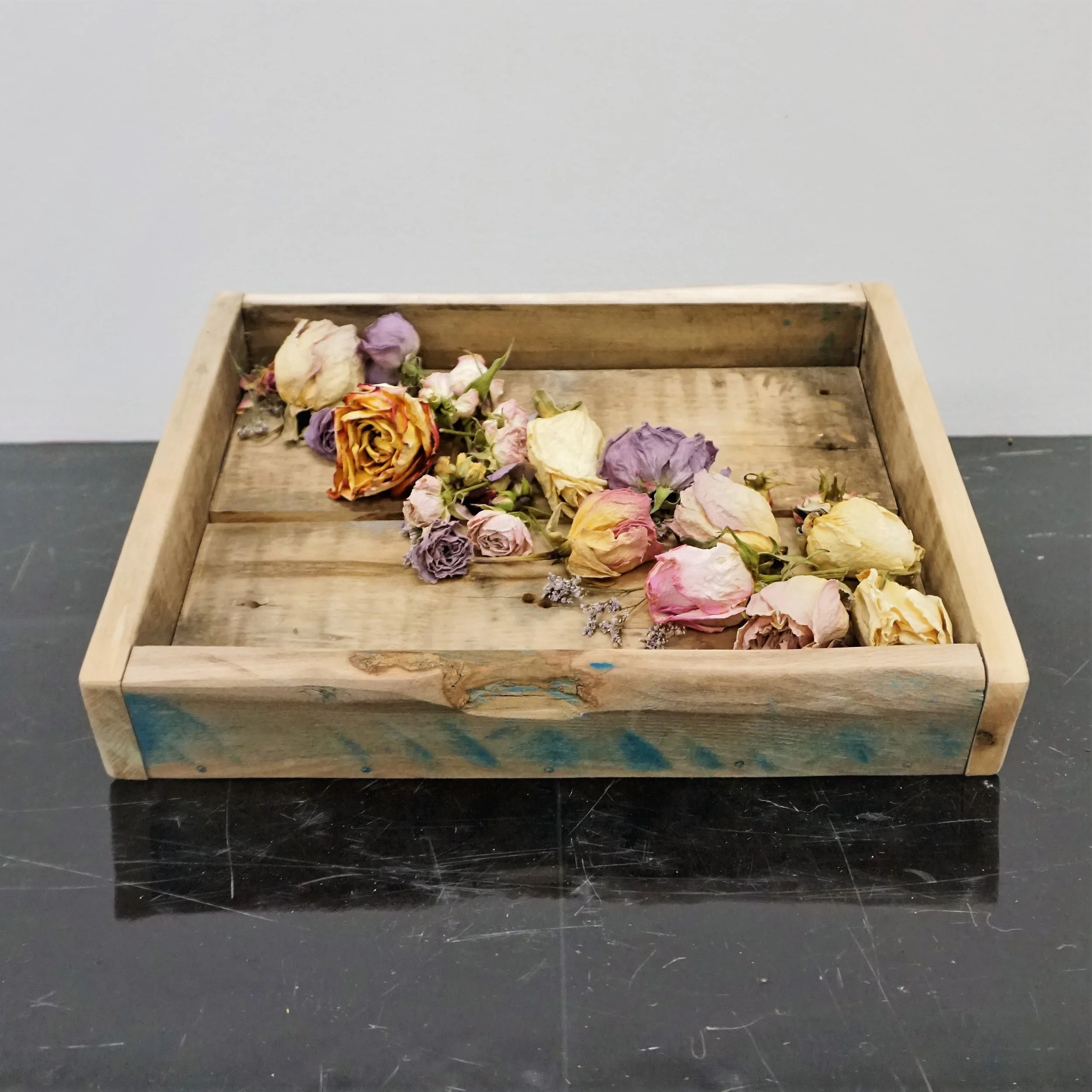 DSC08951 (2).JPG