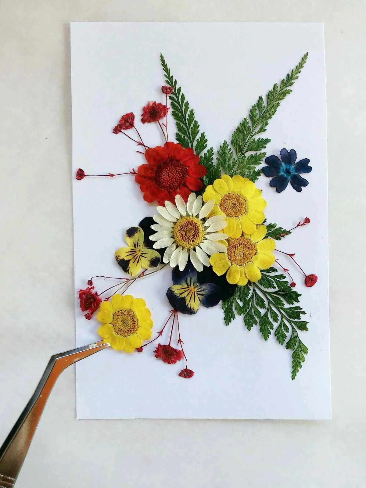 pressed-flowers.jpg