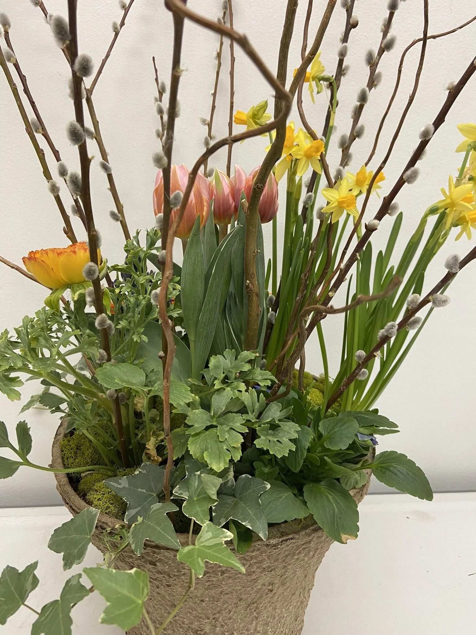 Freeform Spring 2024.jpeg