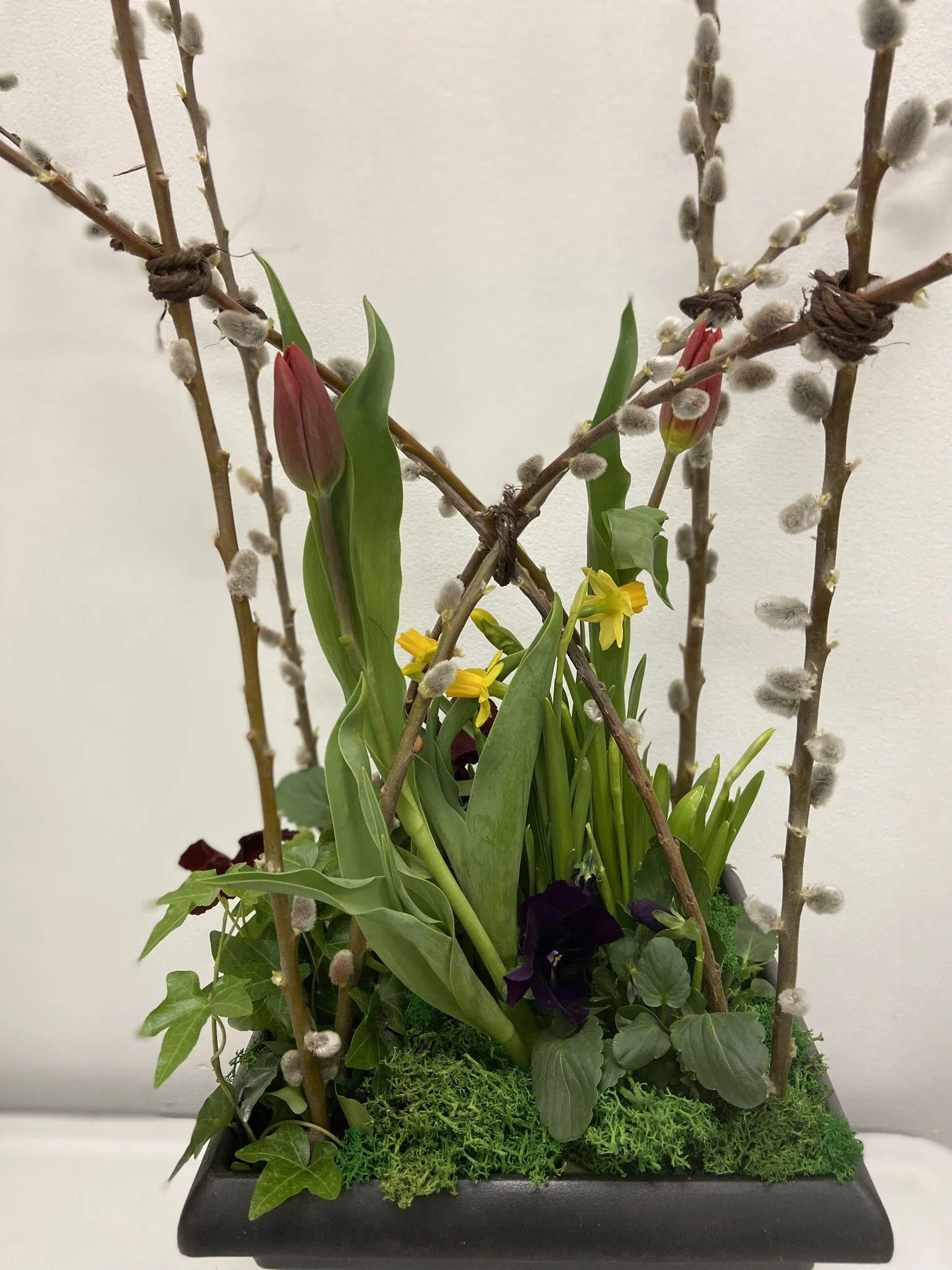 Bunny Ears Spring 2024.jpeg