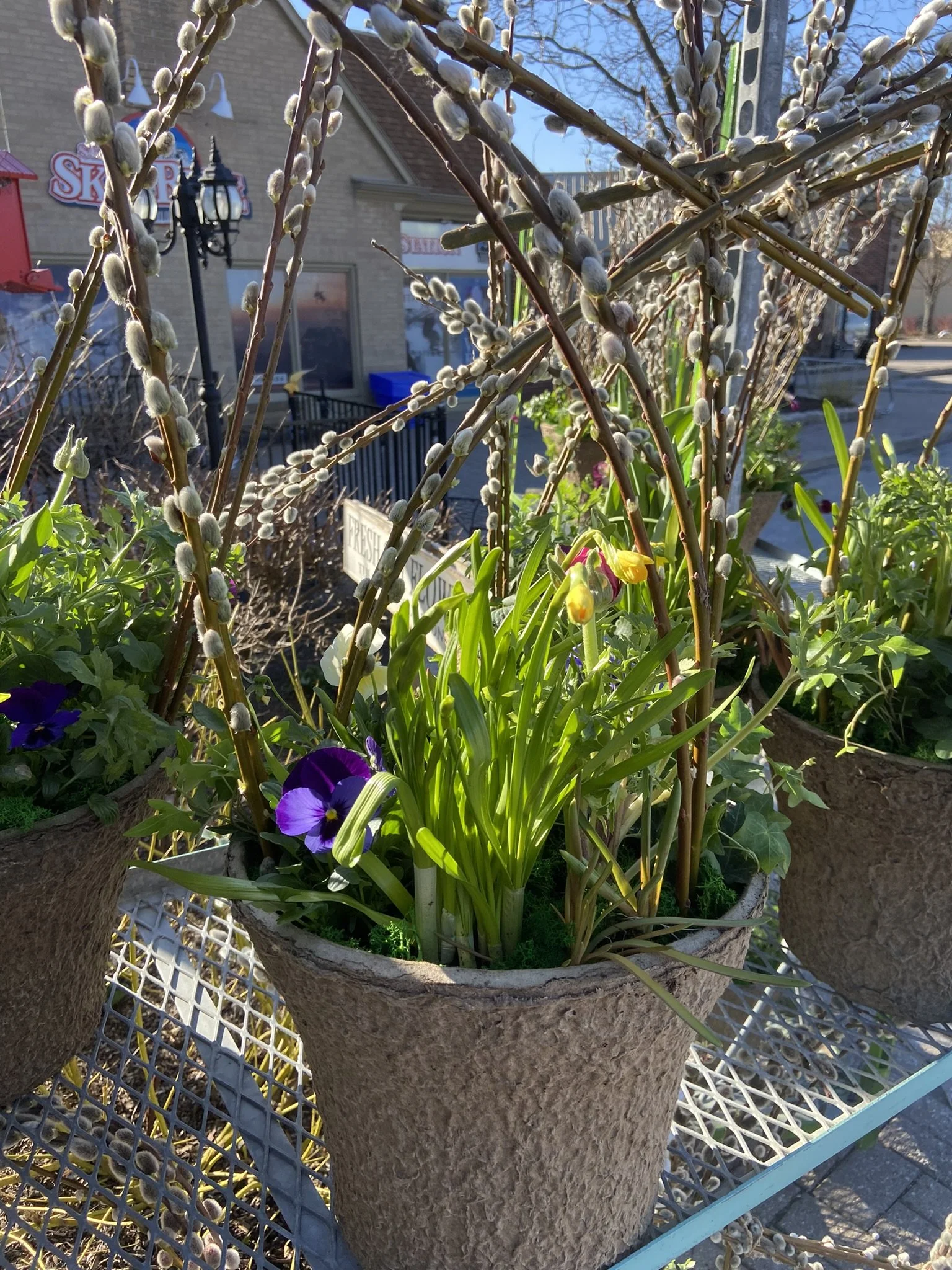 Arch Spring 2024 .jpeg