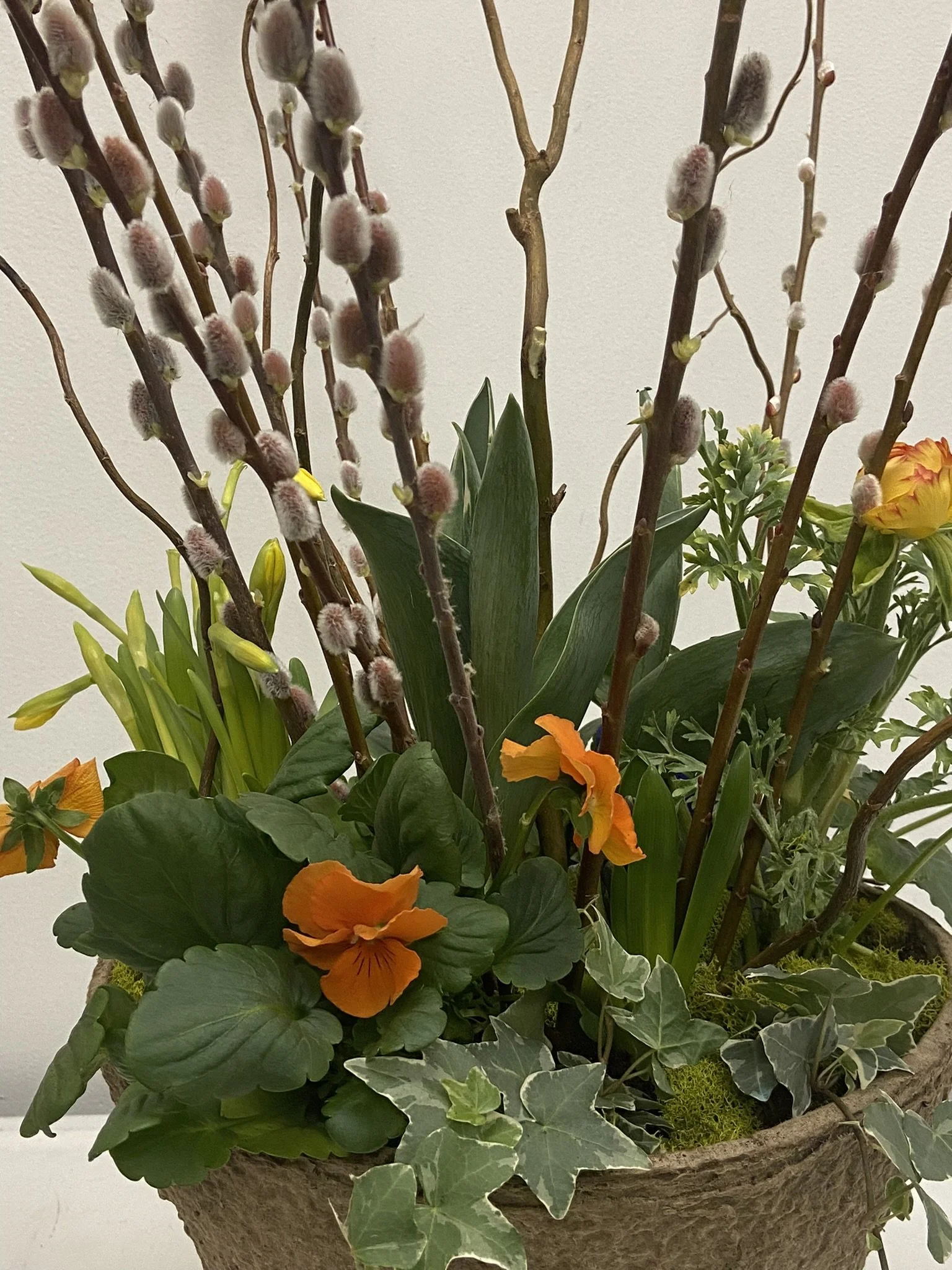 Freeform hot combo 2024.jpeg