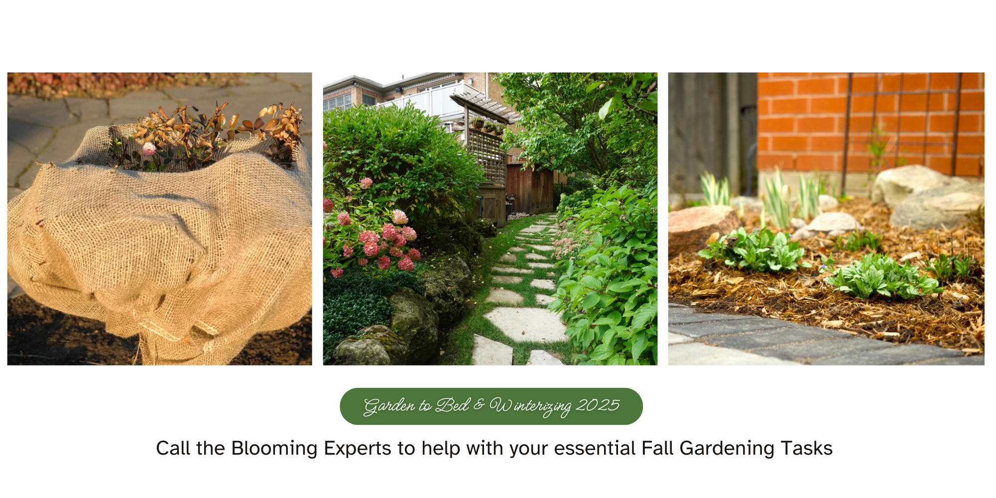 Garden Services .png