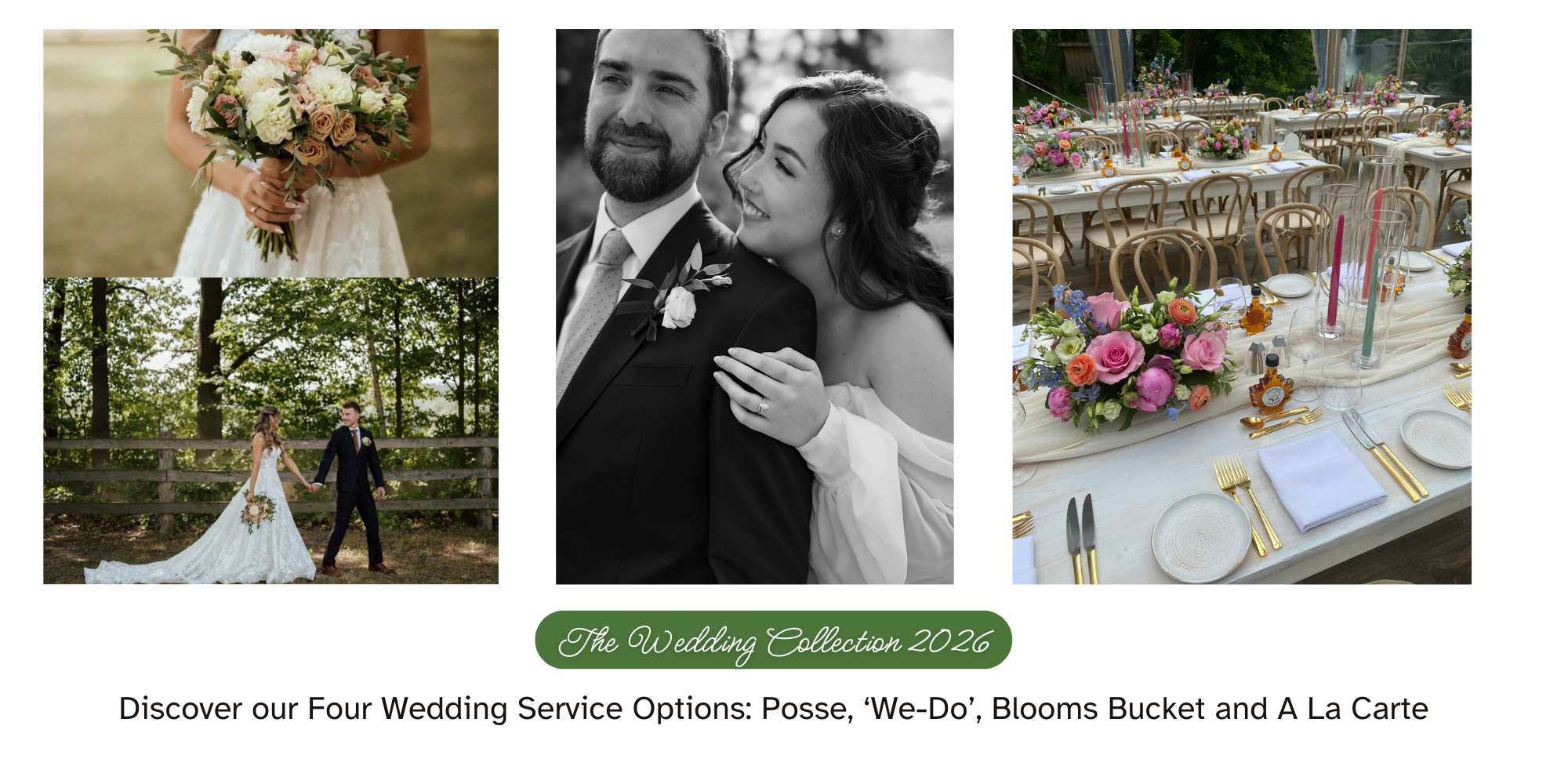 Weddings 2026.png