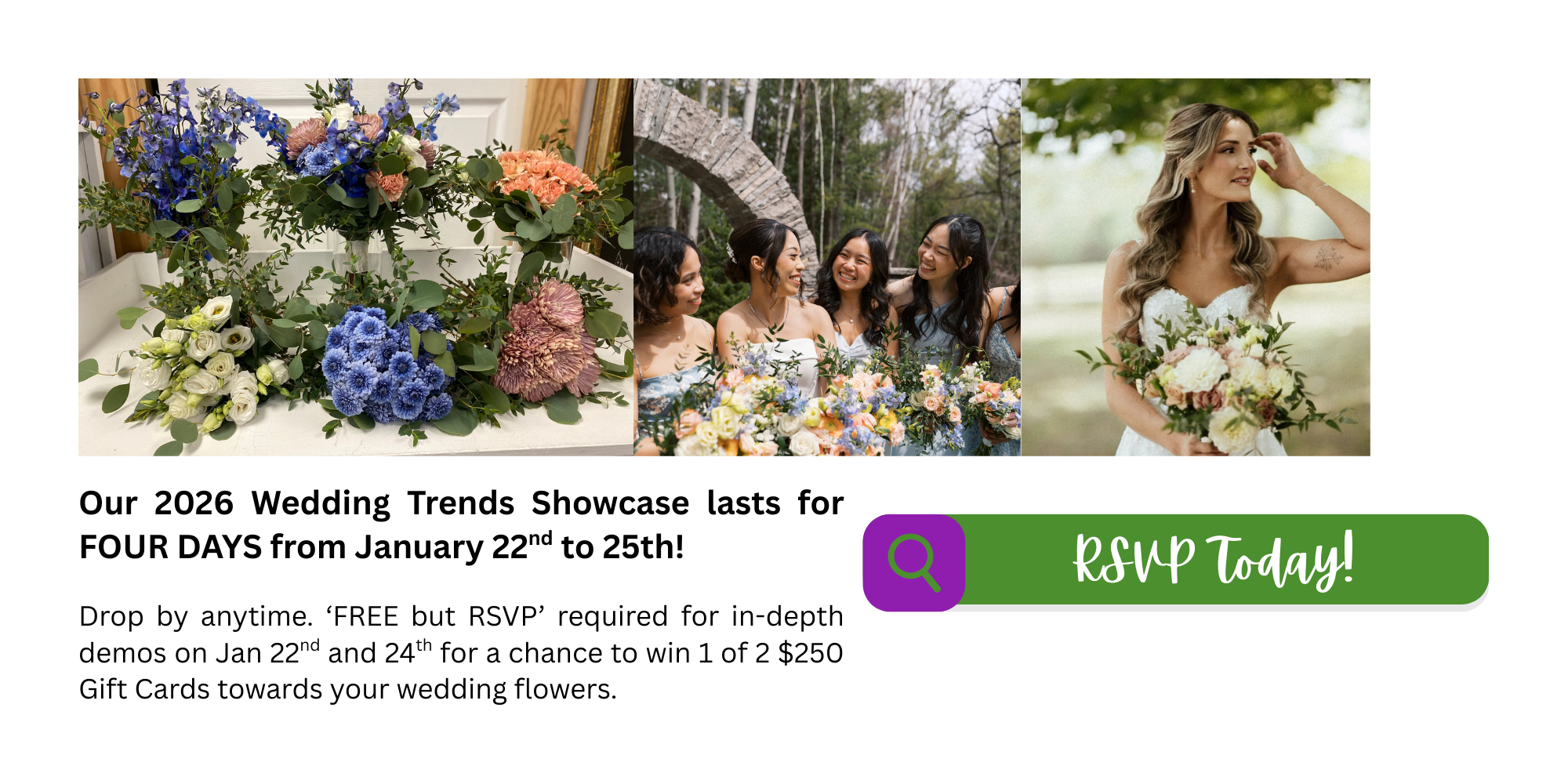 Website Banners .png