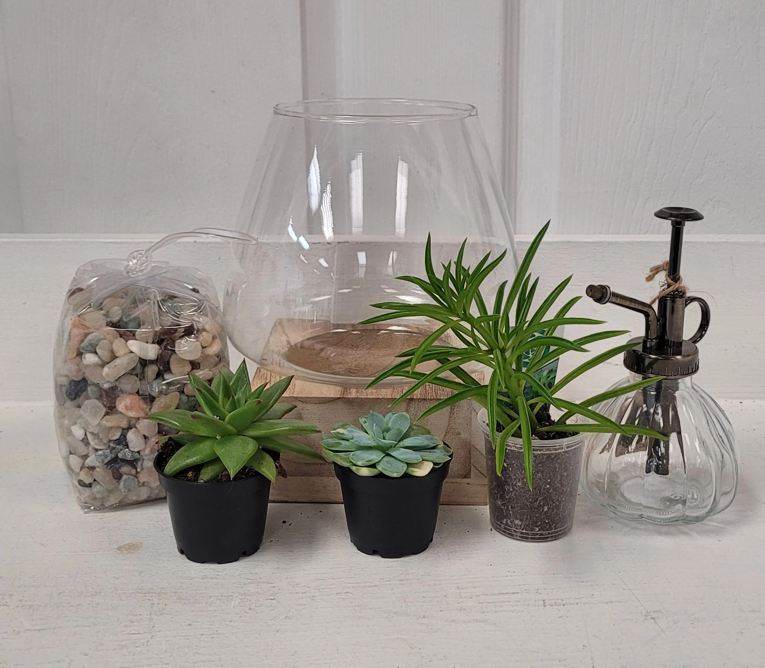 Workshop Terrarium Garden: Tuesday September 29th at 2pm