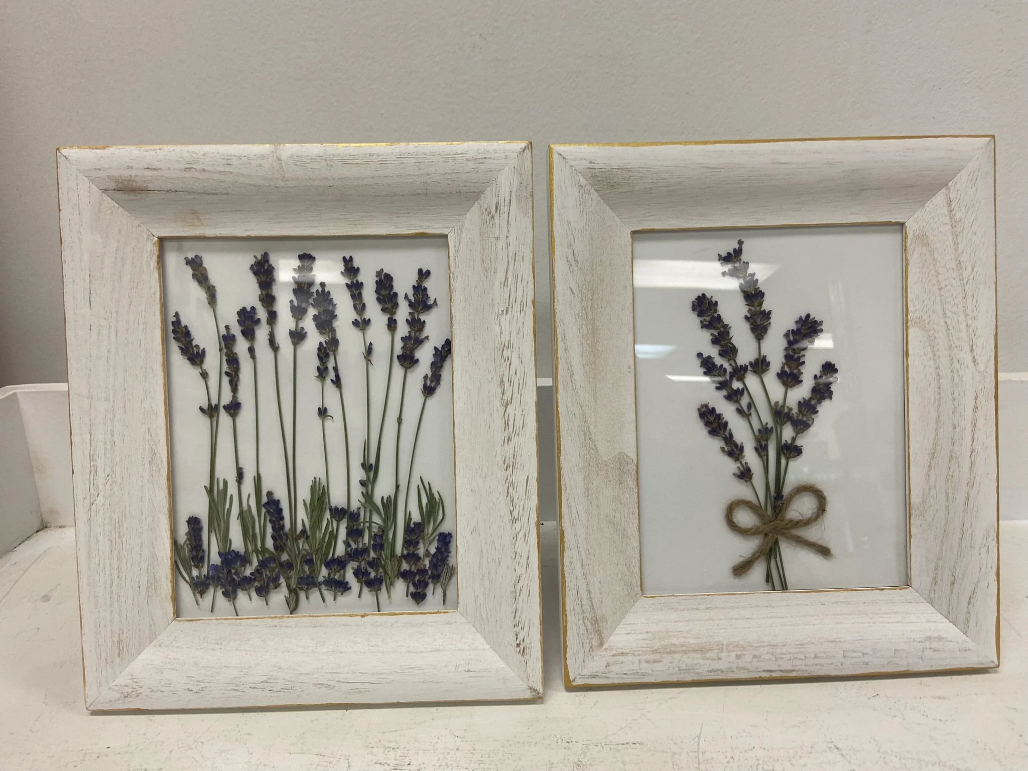Pressed Flowers Lavender .JPEG