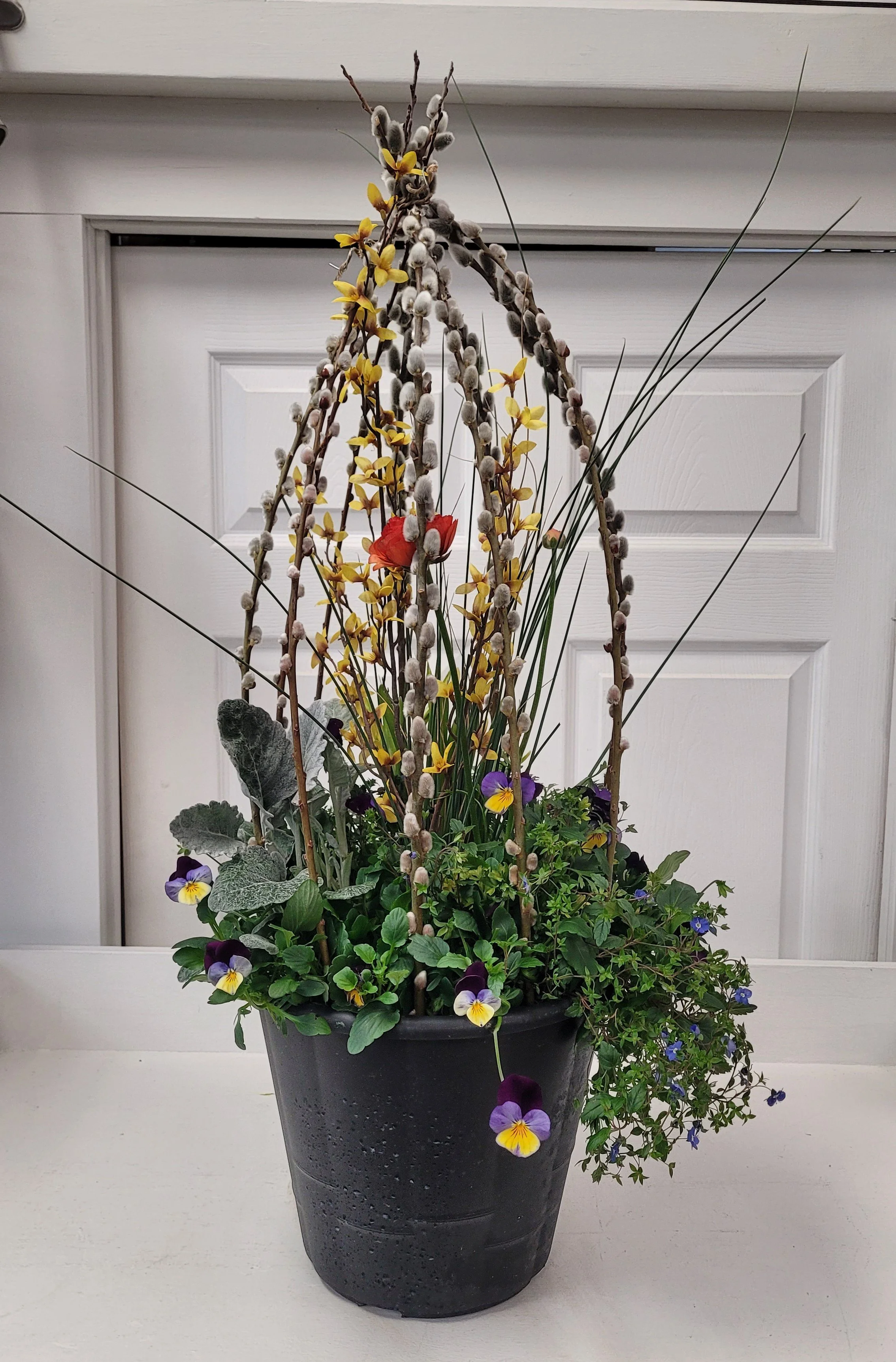 Hot Combo $65 Topiary'.jpg