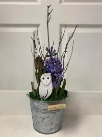 owl will always love you.jpg