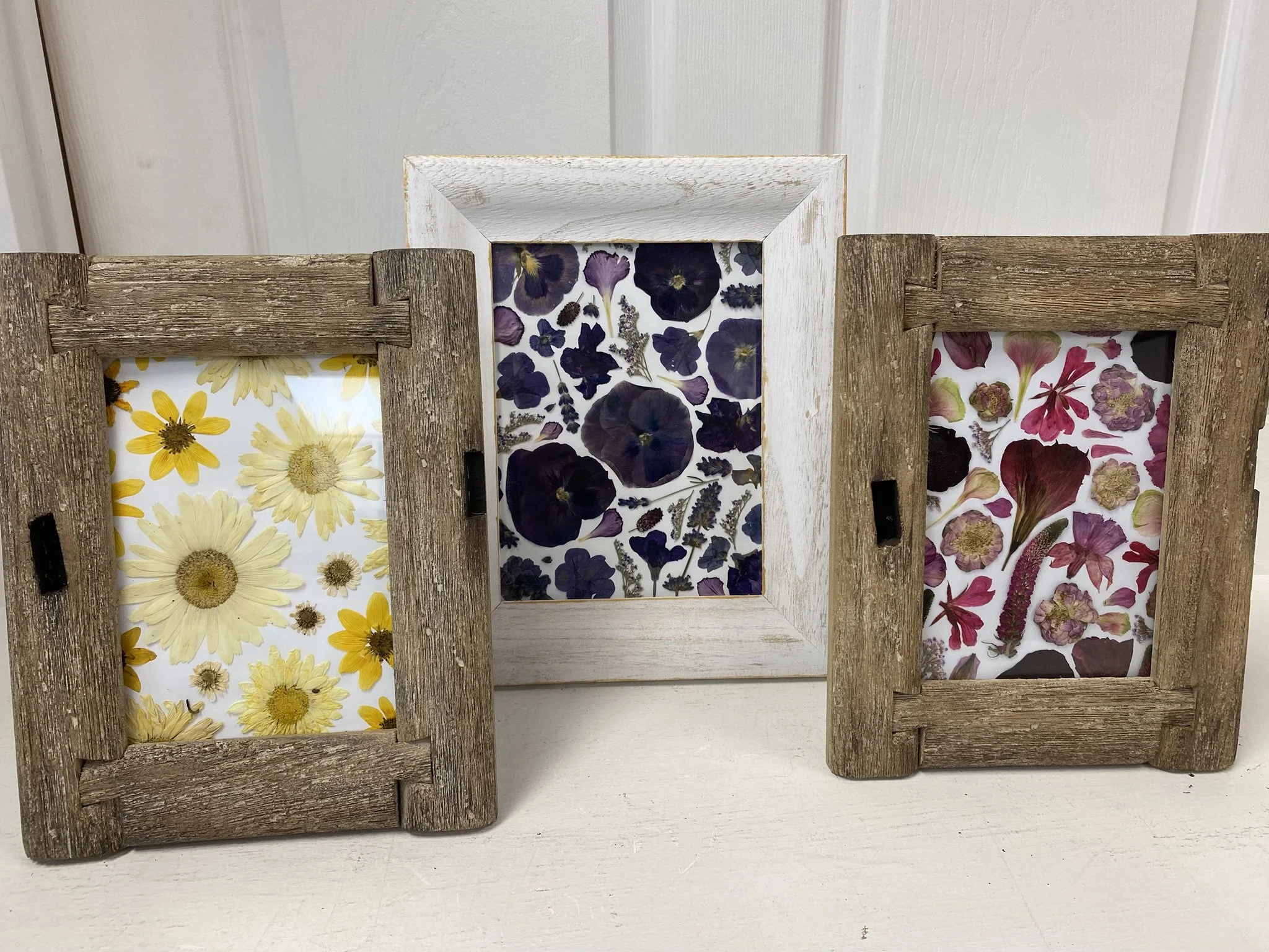 Workshop Pressed Flowers Series: April to September 2026