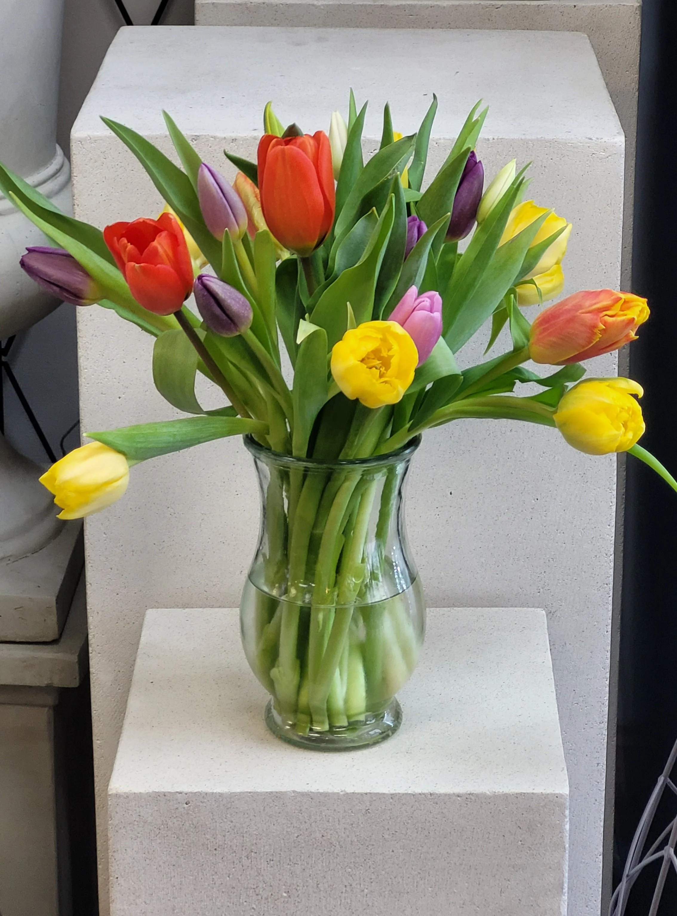Tulips Arrangement $40.JPEG