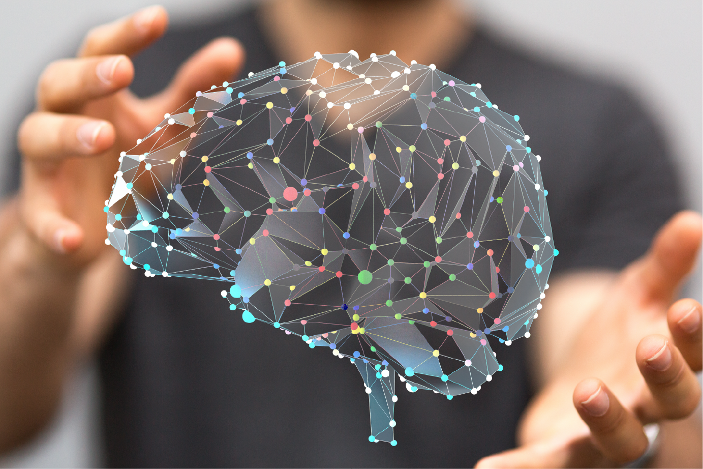 Brain in hands.png