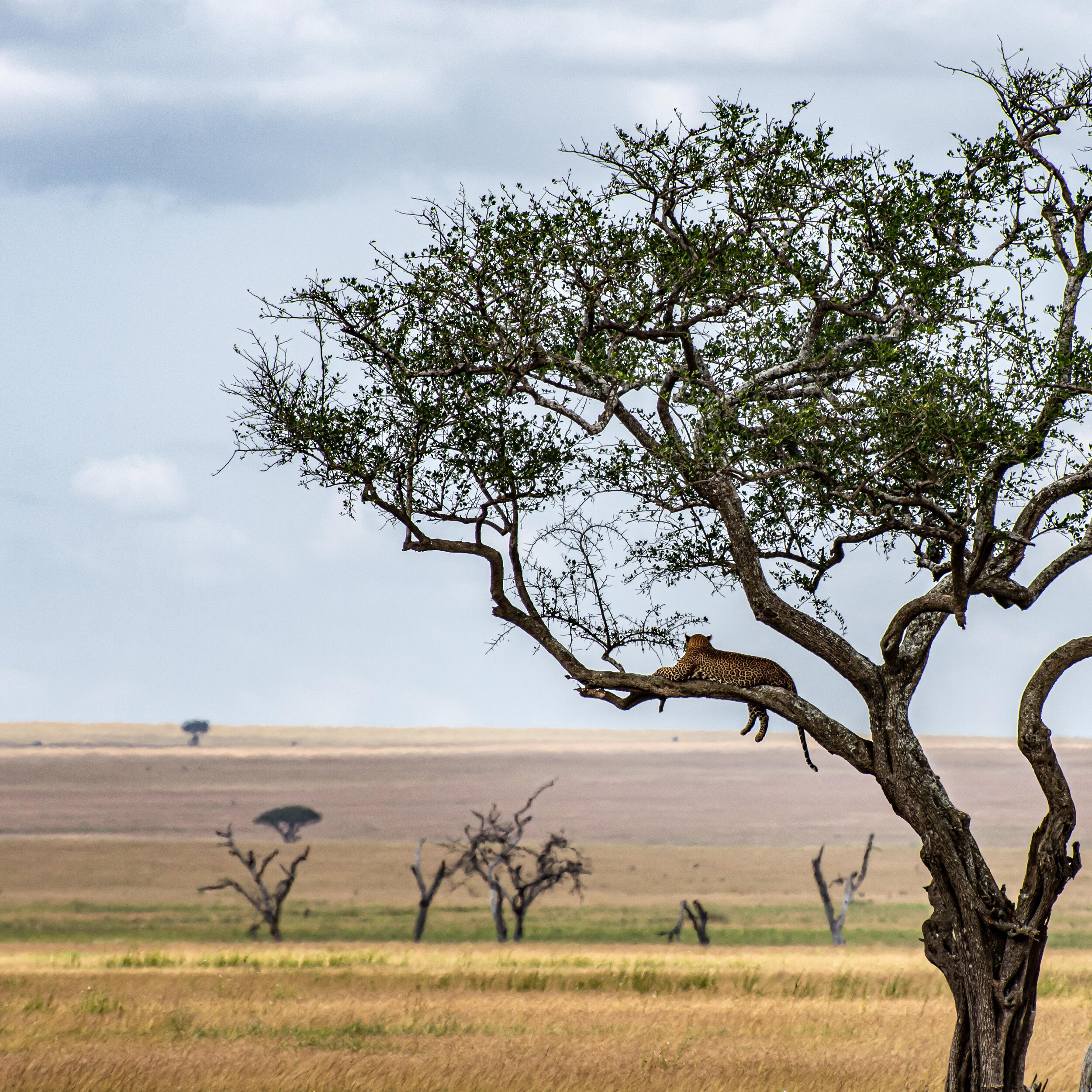 2018_06_Tanzania_00472-12.jpg