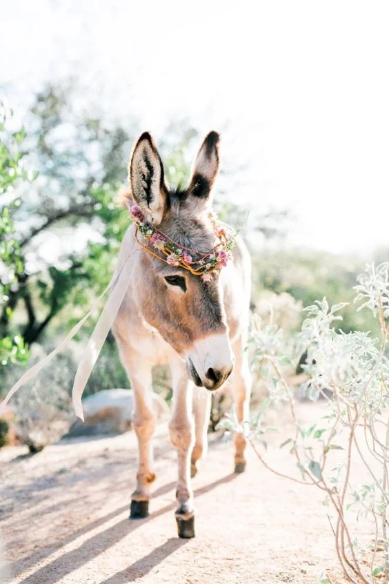 Photo by Wedding Chicks 