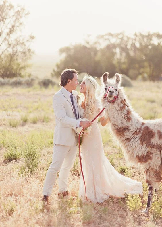 Photo by Alixann Loosle Photography