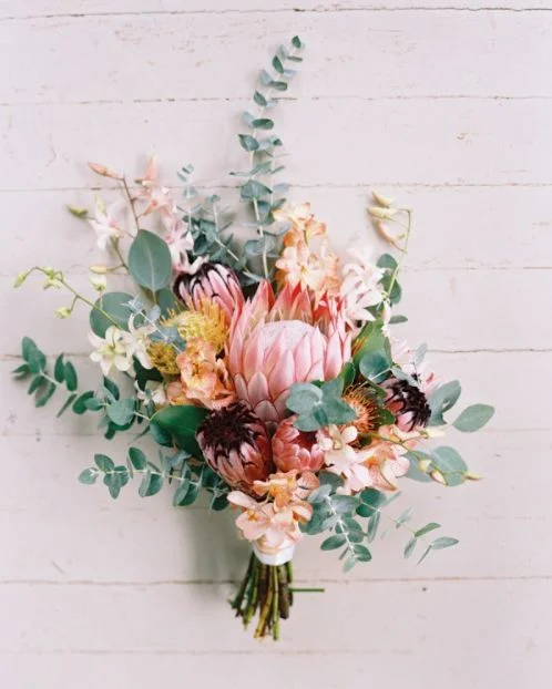 Photo by Wendy Laurel , via Lindsey Brunk