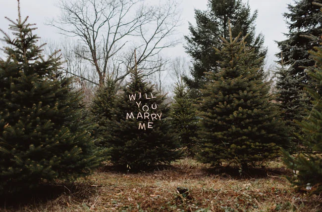 Photo by With Love & Embers , via Green Wedding Shoes