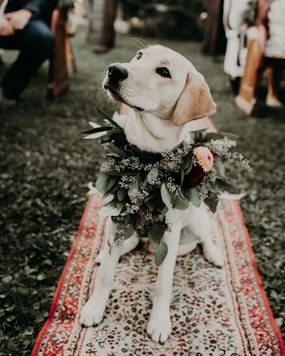 Photo via Emma Loves Weddings