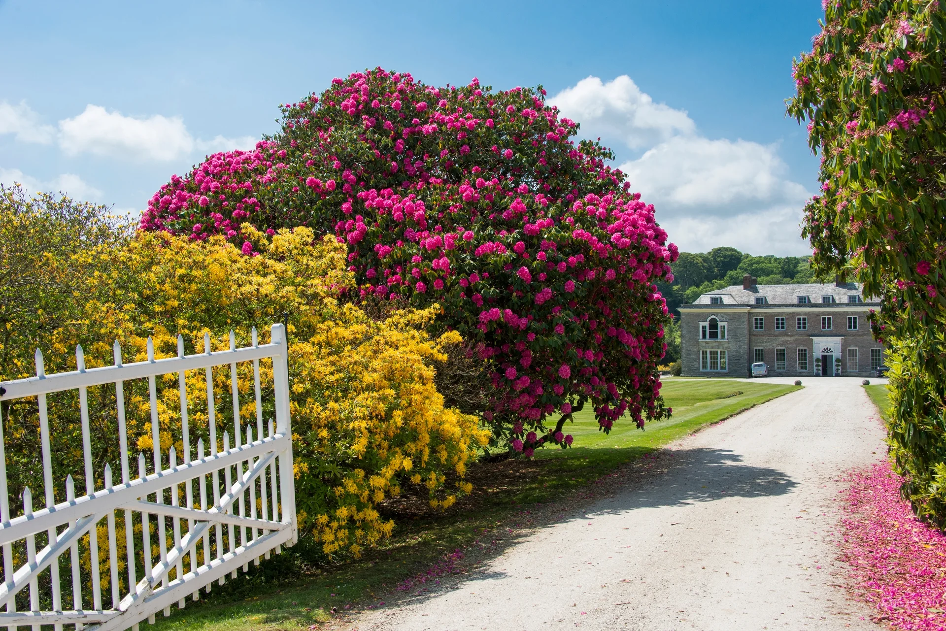Boconnoc Country Estate - Cornwall