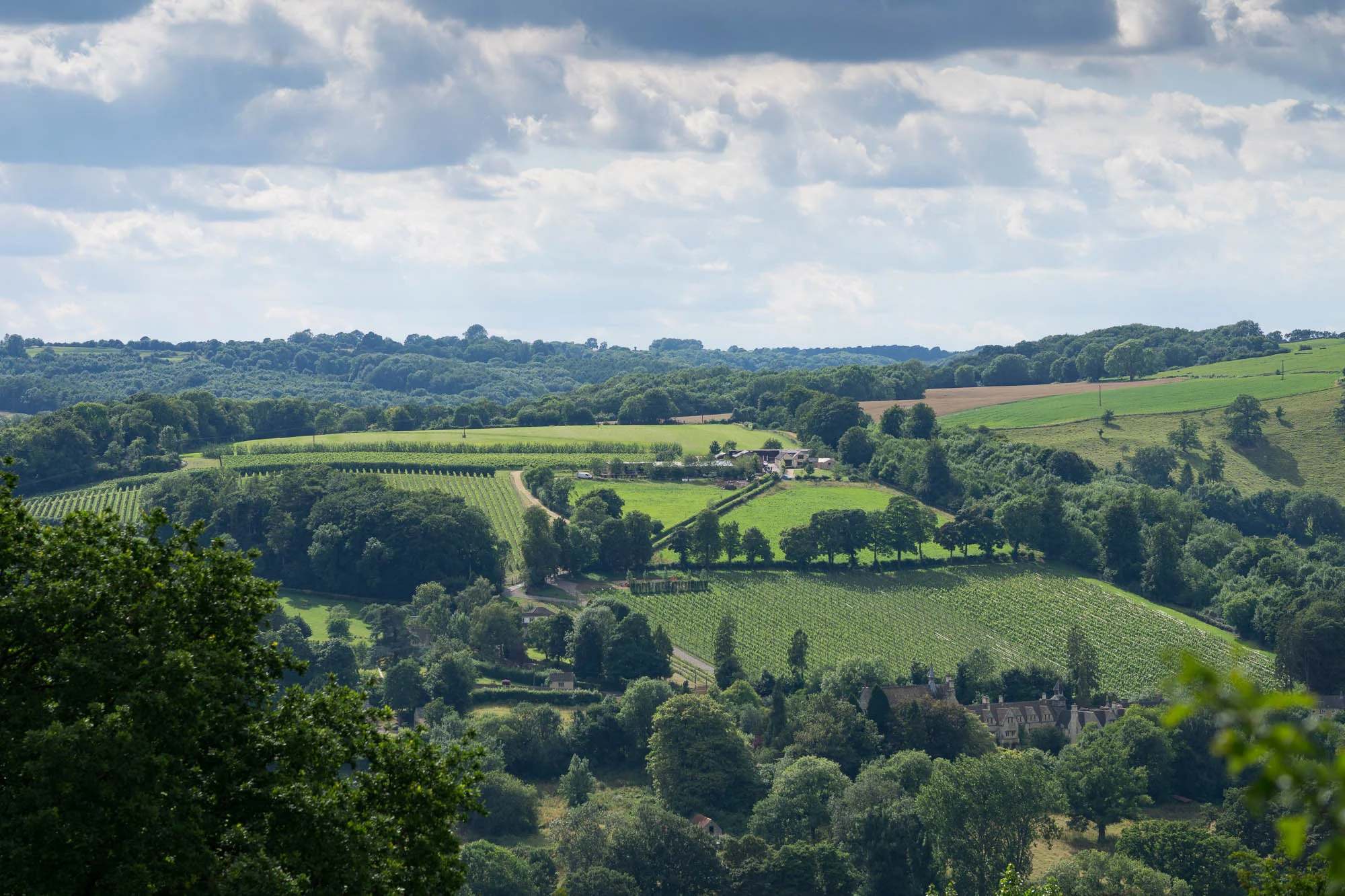 Woodchester vineyard view from Amberley.jpg