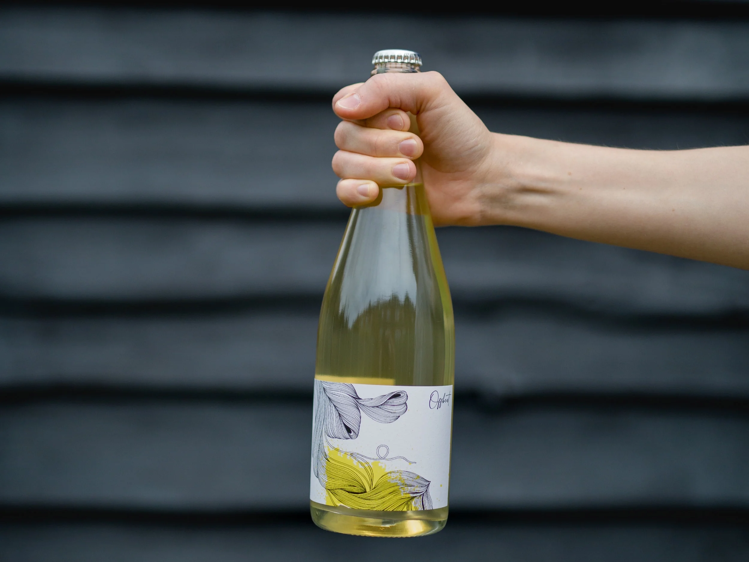 OffbeatWines_OtherLocations-6.jpg