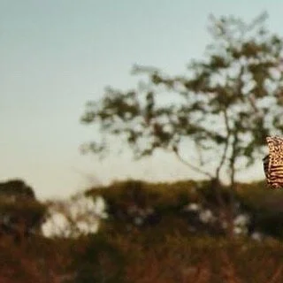 At it
Foto: AU 
#velcrokretino songwriter #singer #music #musician #artist #producer #newmusic #singersongwriter  #love #songs #musicproducer #guitar #drums #livemusic  #spotify #instamusic #art #costarica #musica #composer #vocalist #unsignedartist 