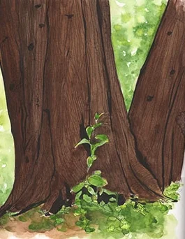 2015 Vol 5 Natural History 13a.jpg