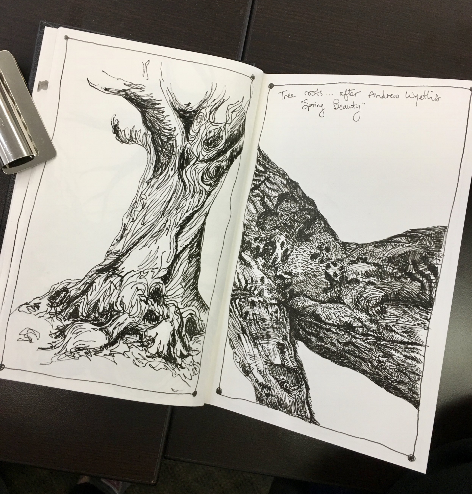 Sarah Crumb Sketching Nature