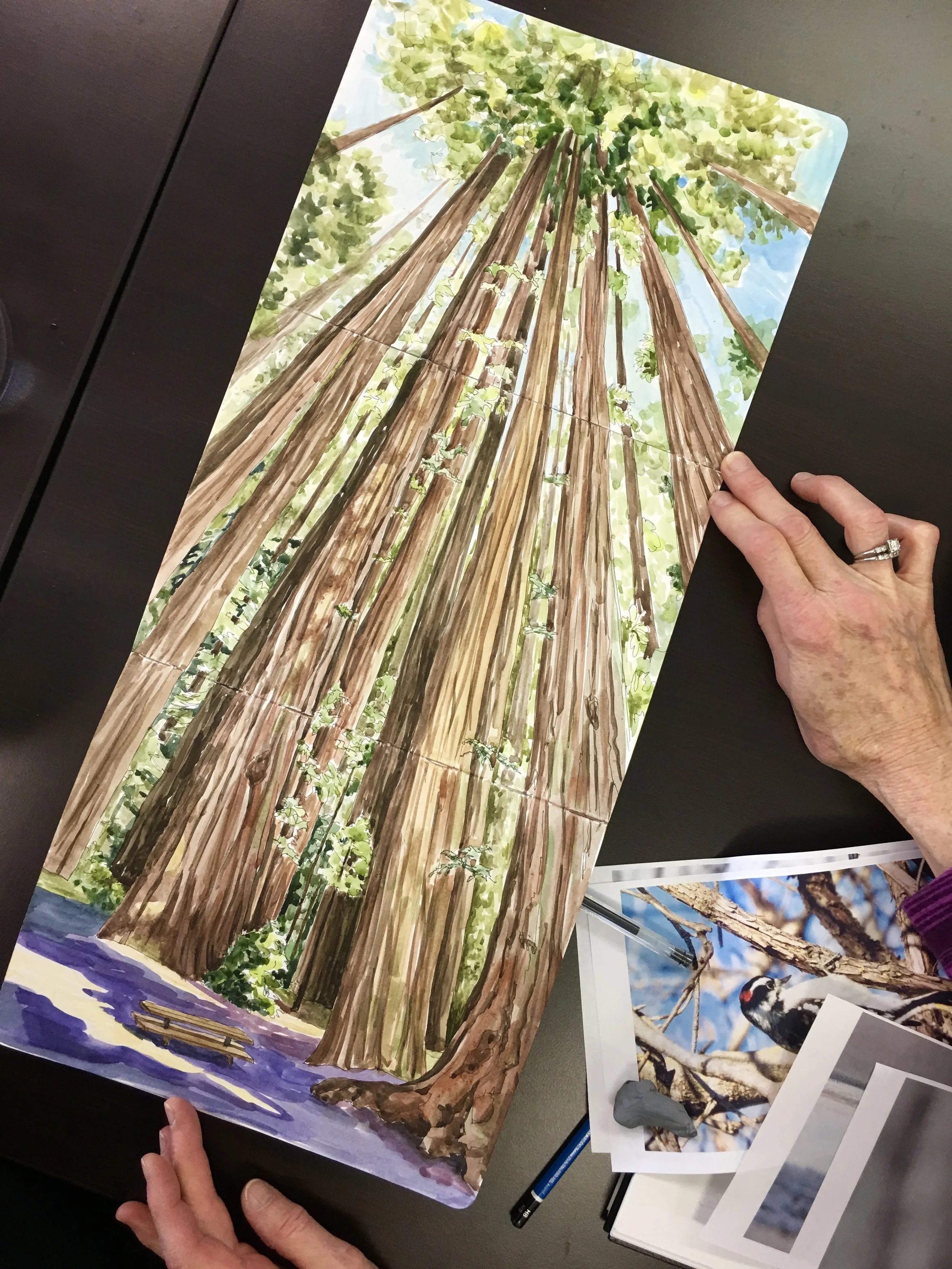 Nancy Finch Sketching Nature