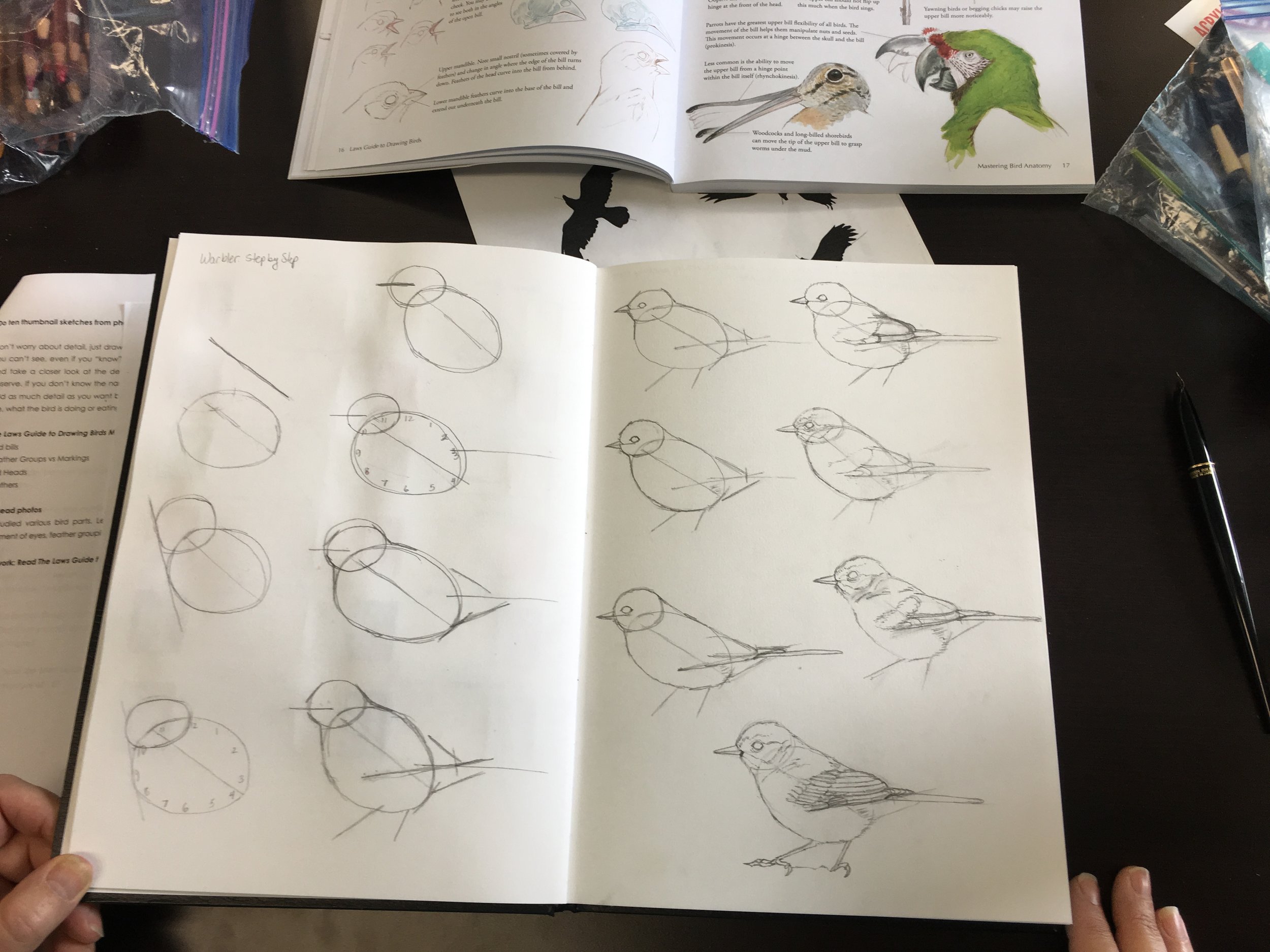  Katherine Voss sketchbook
