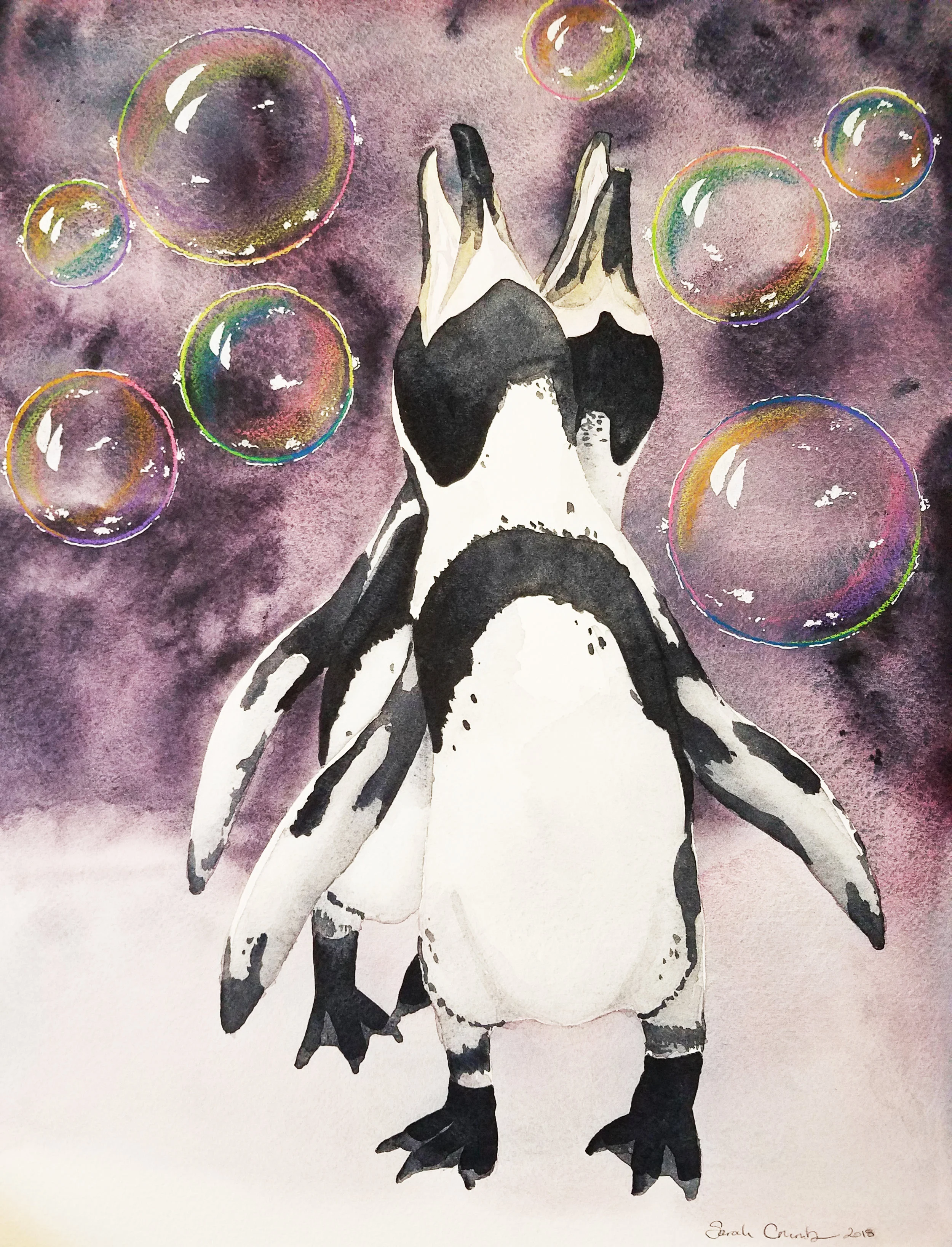 Penguins.jpg