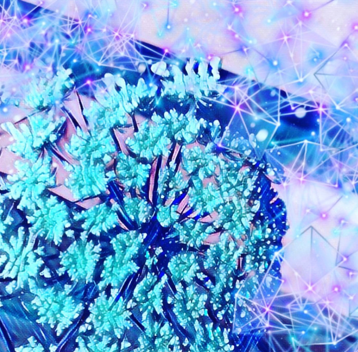 Digital Photography 4.jpeg