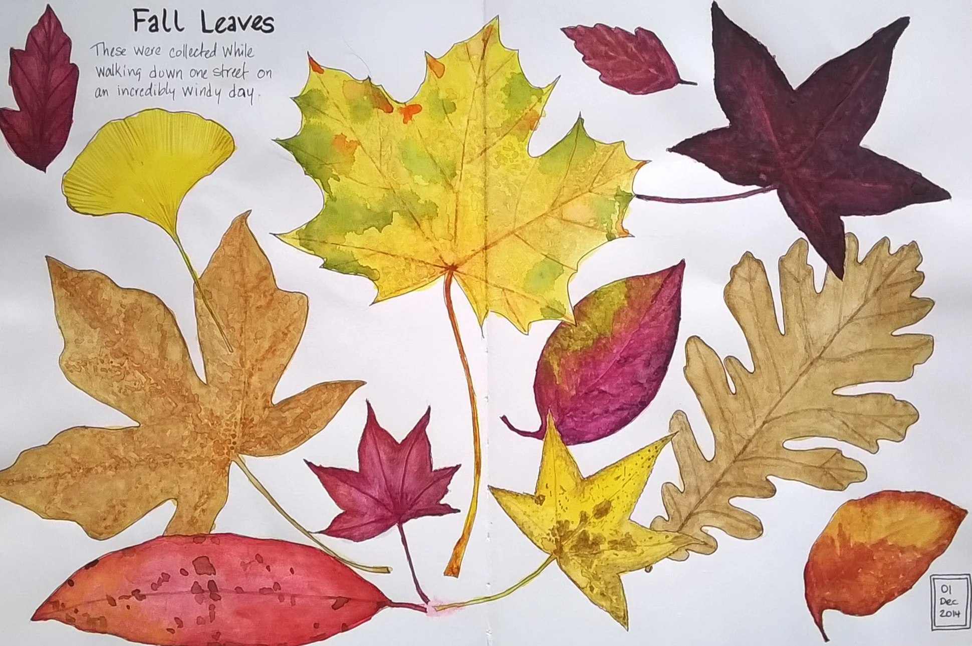 leaves+2014-12-01.jpg
