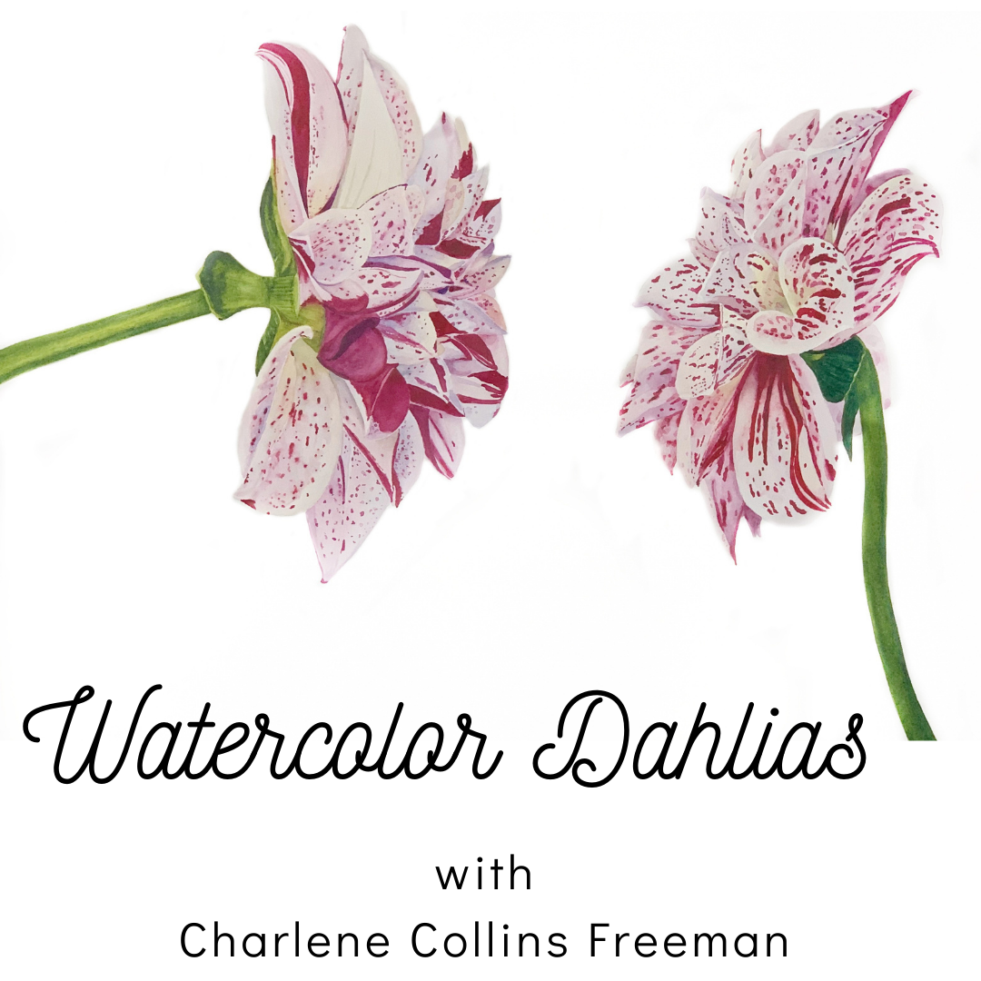 Keeping a Sketchbook Journal with Charlene Collins Freeman — Charlene  Collins Freeman Art