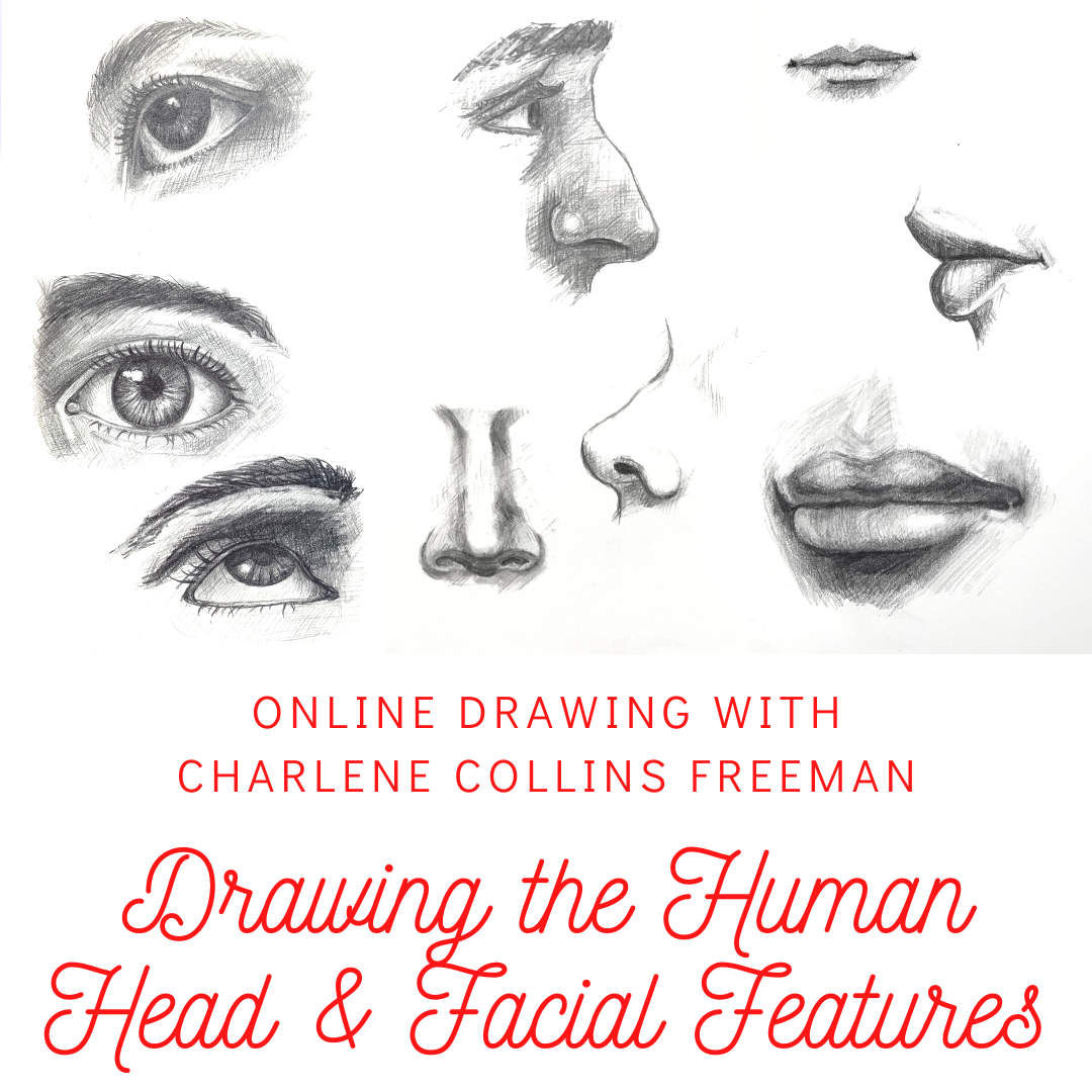 Complete Tutorial  PDF How To Draw A Face  Paintingcreativity