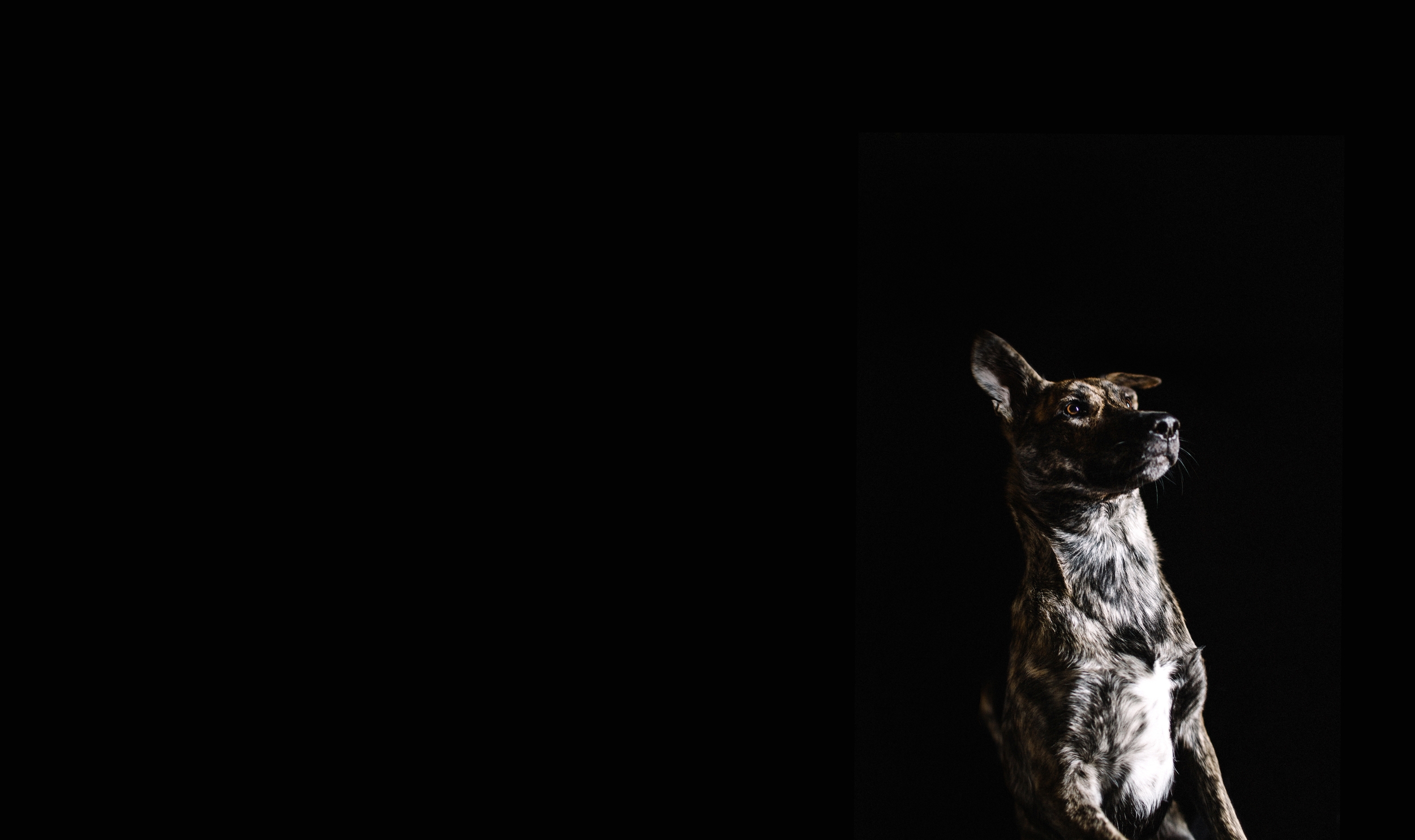 A05A8746-2.jpg