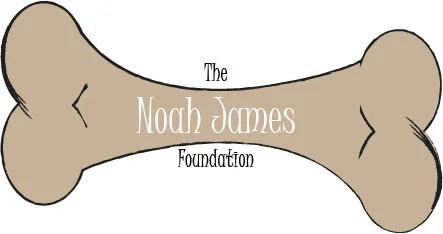 Noah James LOGO.jpg