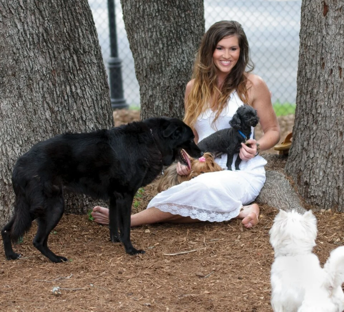 reiki dogs.jpg