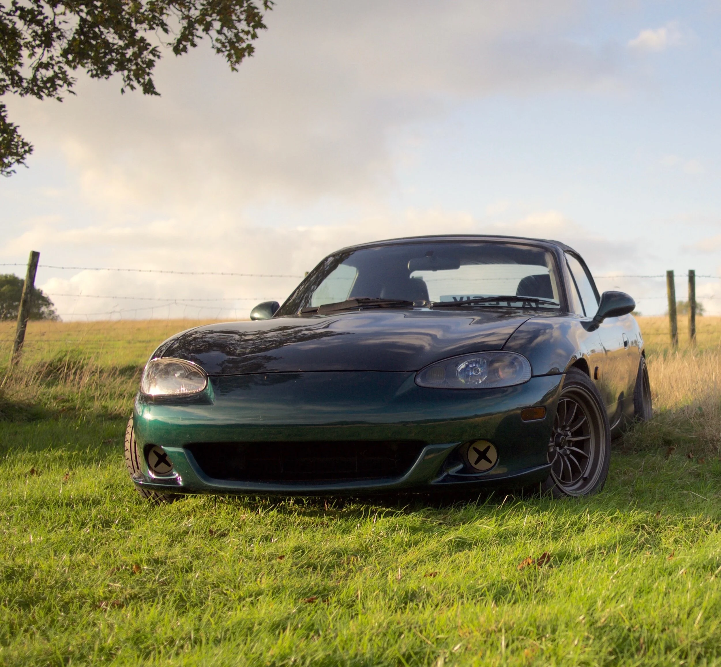 46499BCB-6DDD-4F9E-99FA-2616A8D7AA2A