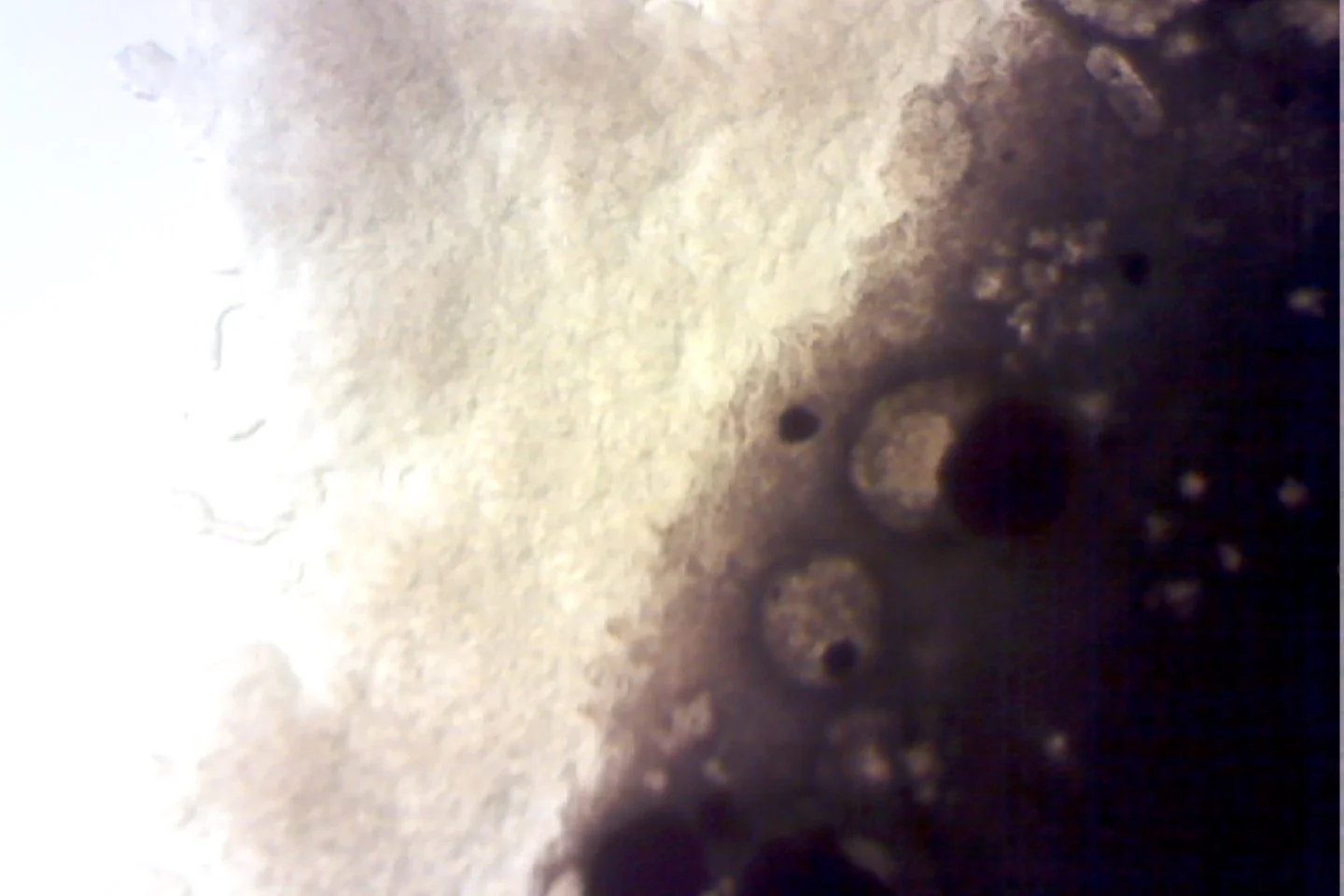 Photo on 4-9-26 at 3.57 PM #2.jpg